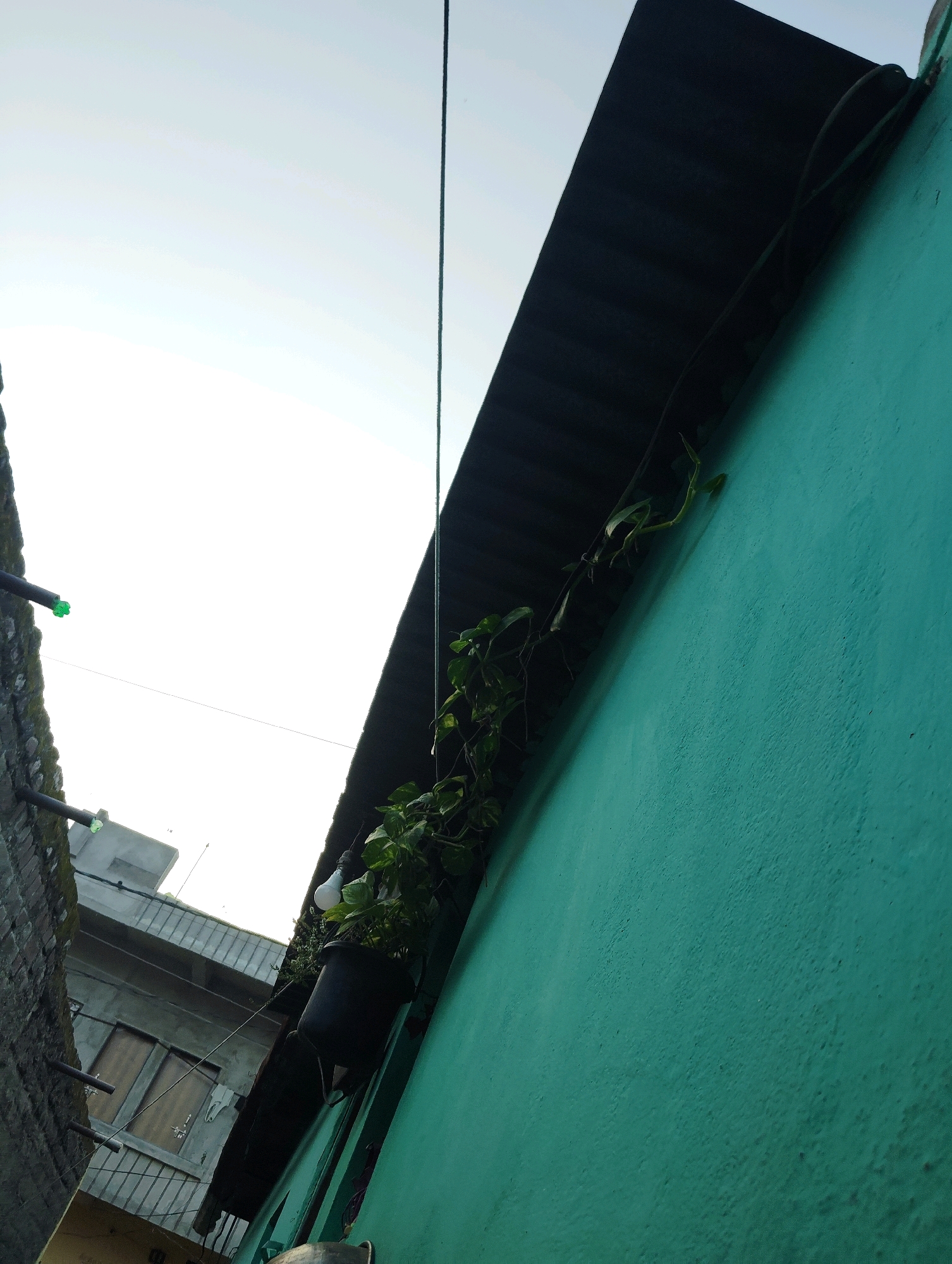 In Bhokardan, India, an outdoor scene depicts a narrow alleyway between two buildings. A rough, moss-covered brick wall forms the left boundary. Extending from the brick wall are dark pipes with green caps. The right side of the alley is dominated by a bright teal-colored wall with a rough, textured surface. Overhanging the alley is a dark, corrugated metal roof. Green vines grow from a black planter box positioned on top of the roof, with a single light bulb hanging nearby. In the background, a multi-story building with balconies and windows is visible. The sky above is a bright, washed-out white, suggesting either dawn or dusk.