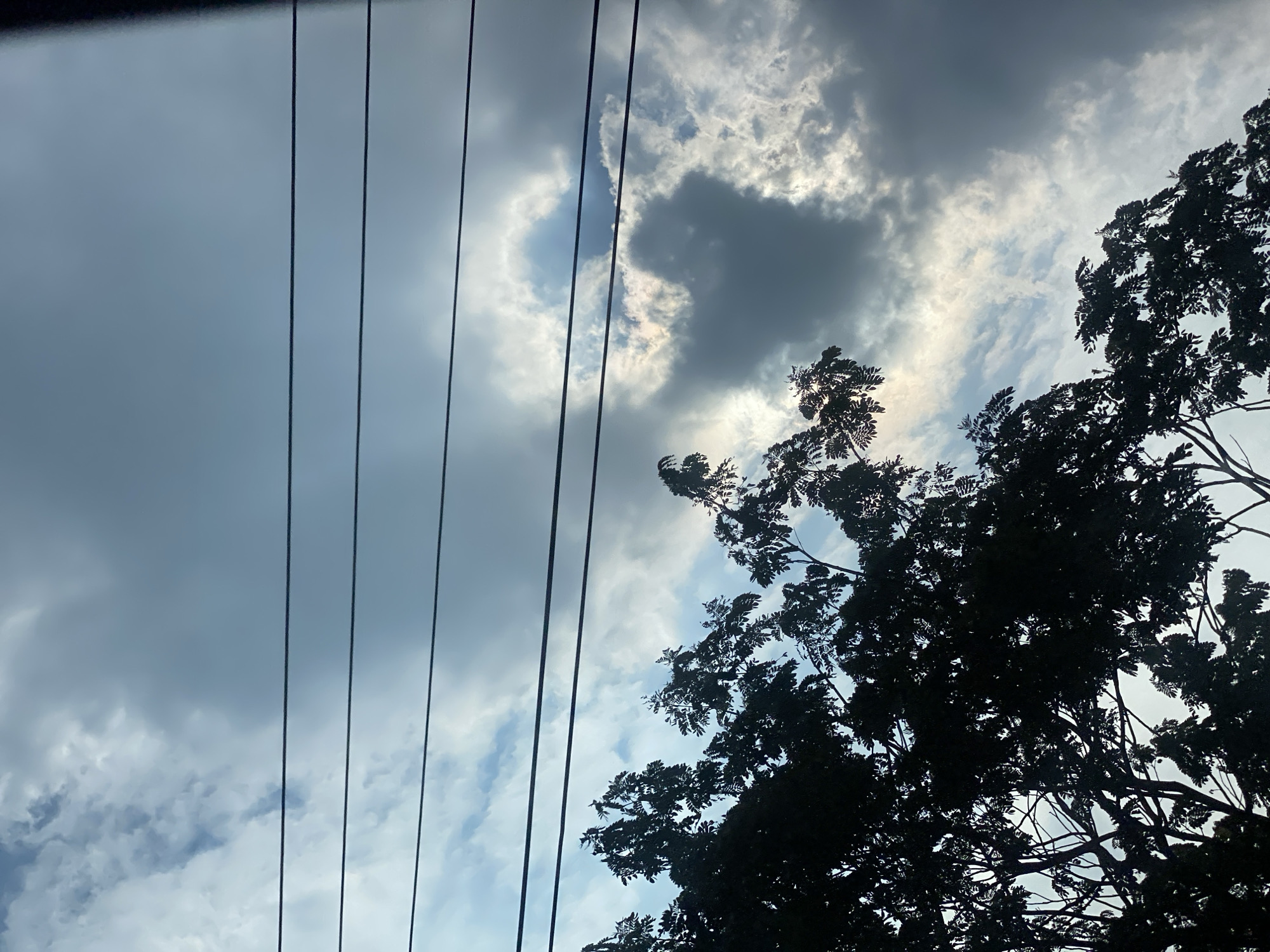 The image shows a silhouetted canopy of tree branches against a cloudy sky. Three horizontal power lines are visible in the upper portion of the frame, stretching across the sky. The clouds are a mix of dark grey and lighter white, with some patches of blue sky visible. The lighting suggests it might be late afternoon or early morning. The scene is likely an outdoor environment within the city of Banjarbaru, Indonesia, as indicated by the presence of power lines and foliage typical of the region. No people or specific activities are depicted.