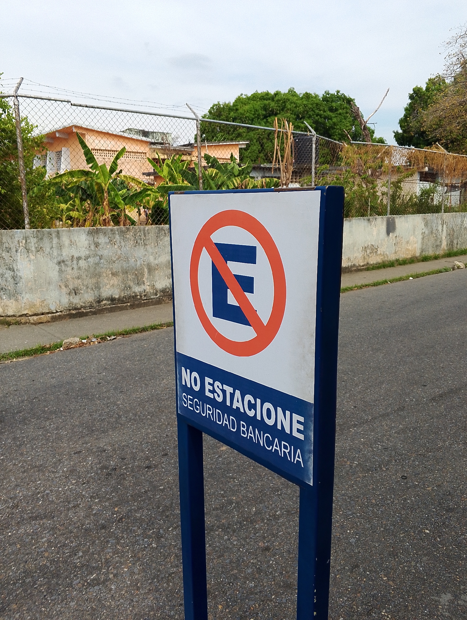 A medium, eye-level shot depicts a blue and white "No Estacione" (Do Not Park) sign standing on a paved road. The sign features a red circle with a diagonal line through it over a large "E," indicating a parking prohibition. Below the symbol, the text "NO ESTACIONE" and "SEGURIDAD BANCARIA" (Bank Security) is printed in white on a blue background.
Behind the sign, a concrete wall runs along the side of the road. Behind the wall, there is a chain-link fence. Beyond the fence, there are trees, plants, and a light-colored building with an orange roof. The sky appears overcast. Based on the sign "SEGURIDAD BANCARIA", the location is near a bank or banking institution. I have no information to confirm this is in San Carlos, Venezuela.