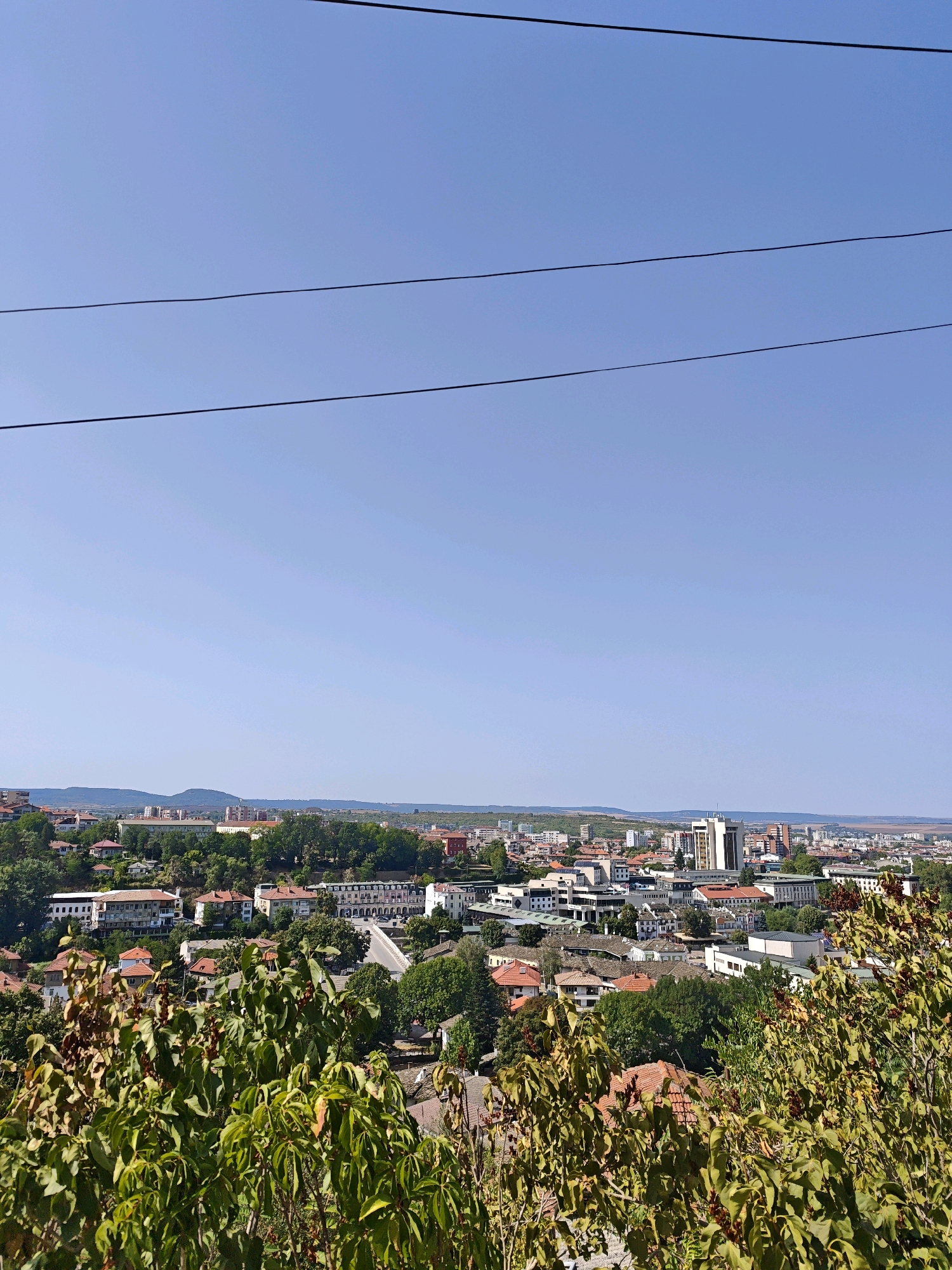 A daytime, high-angle view captures a sprawling city with a clear, bright blue sky overhead. Three thin, dark power lines traverse the upper portion of the image. In the foreground, lush green foliage with scattered dark berries partially obscures the view. The middle ground reveals a densely packed cityscape with a variety of buildings, including residential houses with terracotta roofs, larger modern structures, and a prominent tall, white office building. A bridge can be seen in the distance. The background shows rolling hills and a hazy, distant horizon. This scene depicts the city of Lovech, Bulgaria.