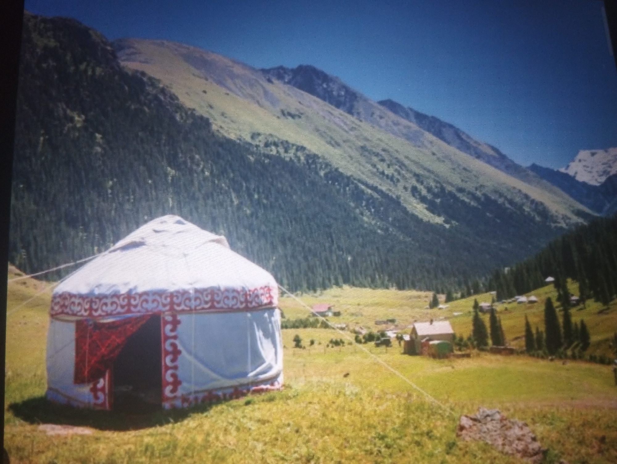 A wide shot captures a traditional yurt set in a grassy meadow with a backdrop of lush green forested mountains under a clear blue sky. The yurt, a portable dwelling, is white with red decorative trim around its opening and base, and a red fabric is visible inside its entrance. To the right of the yurt, further into the meadow, are several small buildings, possibly houses or cabins, scattered amidst scattered trees. The mountainous terrain is covered in dense evergreen trees in the lower slopes, transitioning to lighter green and bare earth on the upper reaches, indicative of high altitude. The overall scene depicts a serene, rural mountain landscape in Kadamjay, Kyrgyzstan, characterized by its natural beauty and traditional nomadic architecture.