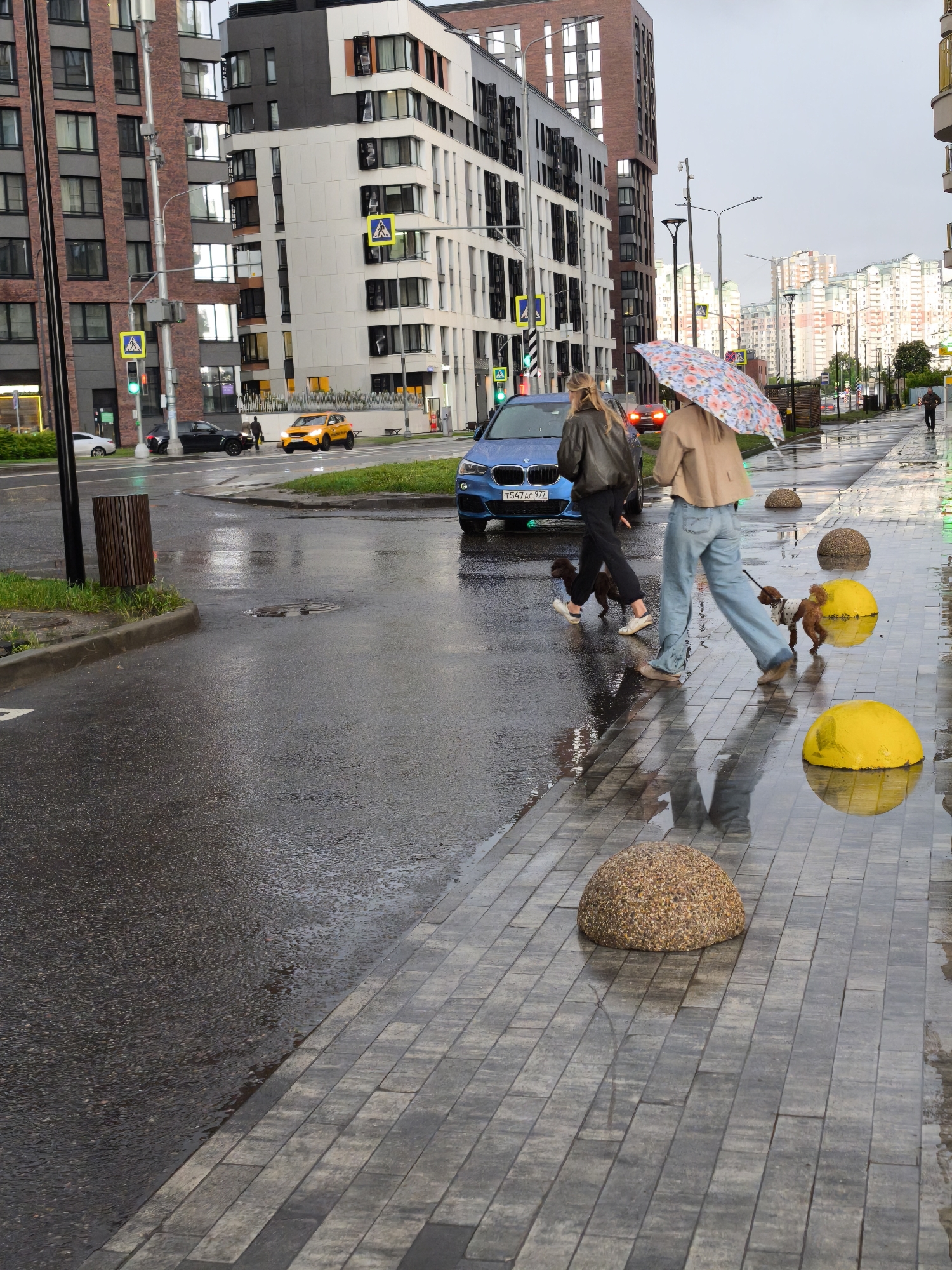 The image shows a street scene in Moscow, Russia on a rainy day. Two women are crossing the street with two small dogs. One woman is wearing a black jacket and black pants, the other is wearing a tan jacket and jeans and holding a colorful umbrella. A blue BMW with the license plate "T547AC 777" is stopped on the road. In the background, there are modern apartment buildings, a yellow car, and other vehicles on the street. The sidewalks are wet and reflective, with spherical bollards marking the edge. Some of the bollards are yellow and some are brown.