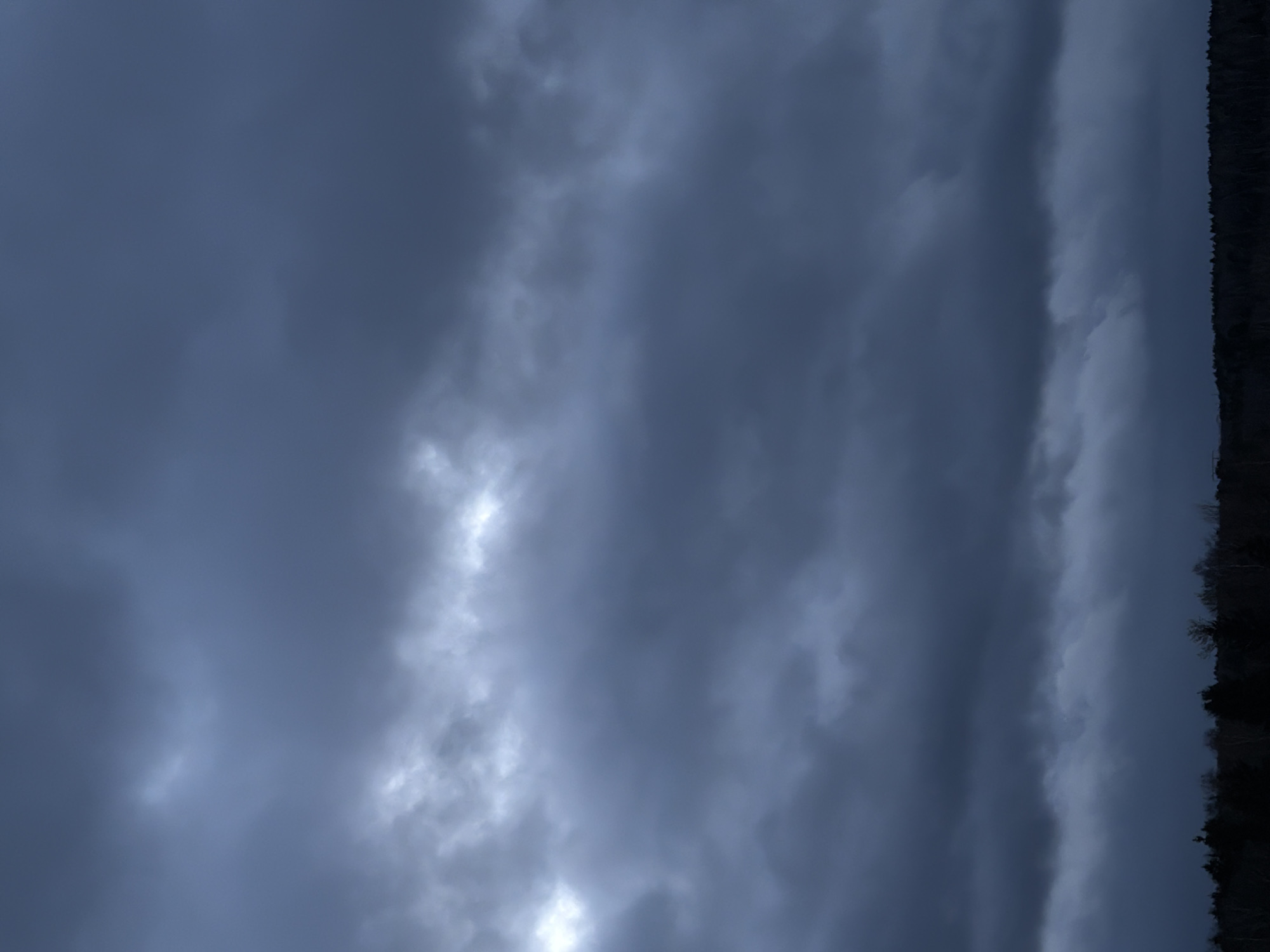 The image displays a sky filled with heavy, dark grey and blue-grey clouds, occupying the majority of the frame. The clouds appear dense and textured, with some lighter patches suggesting areas where light might be penetrating or reflecting. Along the far right edge, a dark, vertical silhouette of trees is visible, forming a distinct, jagged line against the overcast sky. These trees are indistinct due to the low light, indicating a forested area or a horizon line. The scene suggests an outdoor natural environment under dramatic weather conditions, possibly an impending storm or a deeply overcast day. The lighting is subdued, hinting at either dawn, dusk, or heavy cloud cover throughout the day. No people, man-made objects, or activities are depicted. No text is visible.
