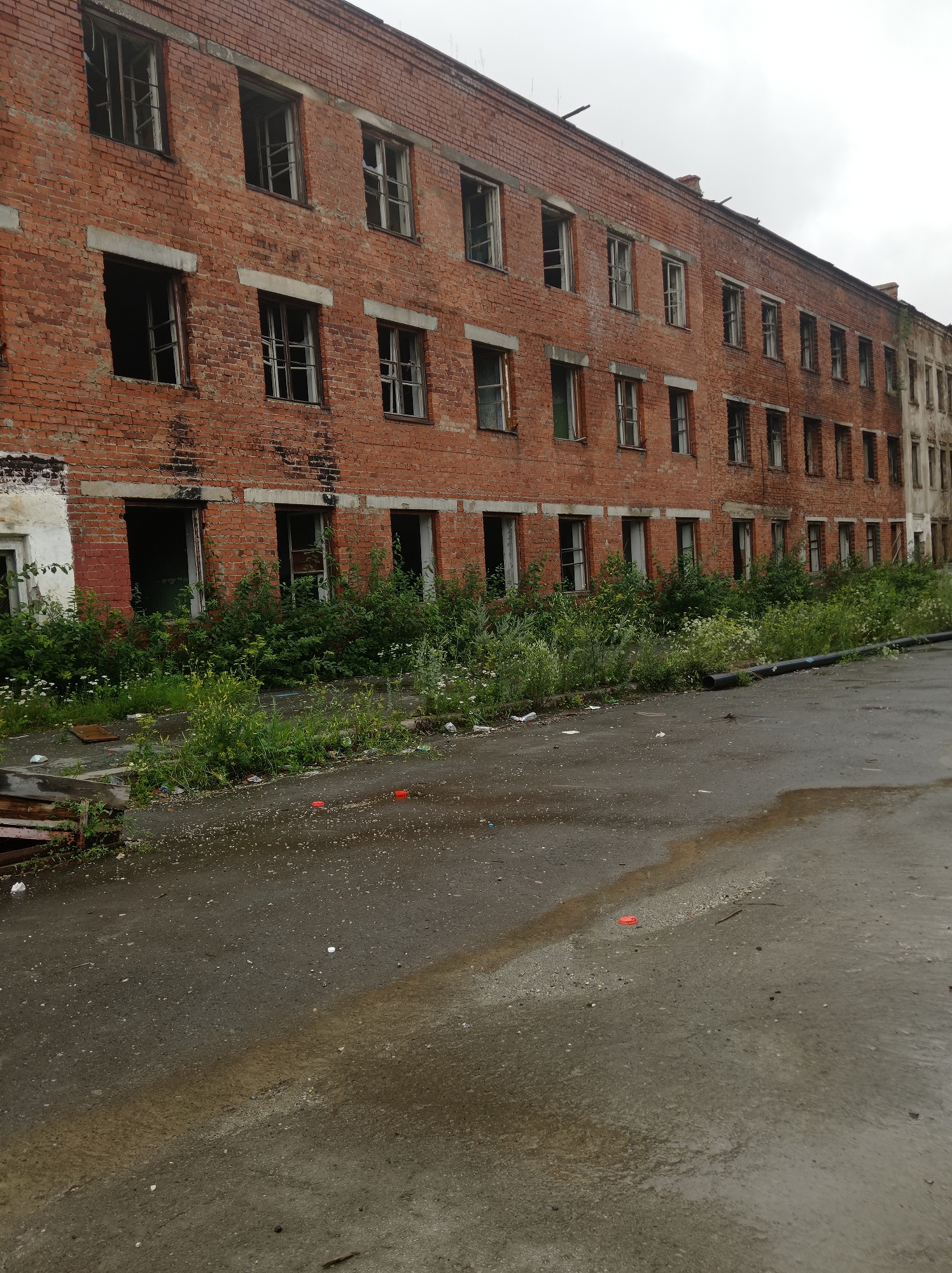 The image shows an abandoned, multi-story brick building, likely a former factory or industrial facility, in the city of Degtyarsk, Russia. The building is in a state of disrepair, with many broken windows and signs of decay. Overgrown vegetation, including bushes and weeds, encroaches on the building's facade and the surrounding asphalt area. The ground appears wet, suggesting recent rain or damp conditions. Scattered debris, including what appears to be discarded plastic items, is visible on the asphalt. The overall impression is one of neglect and abandonment in an urban industrial setting.