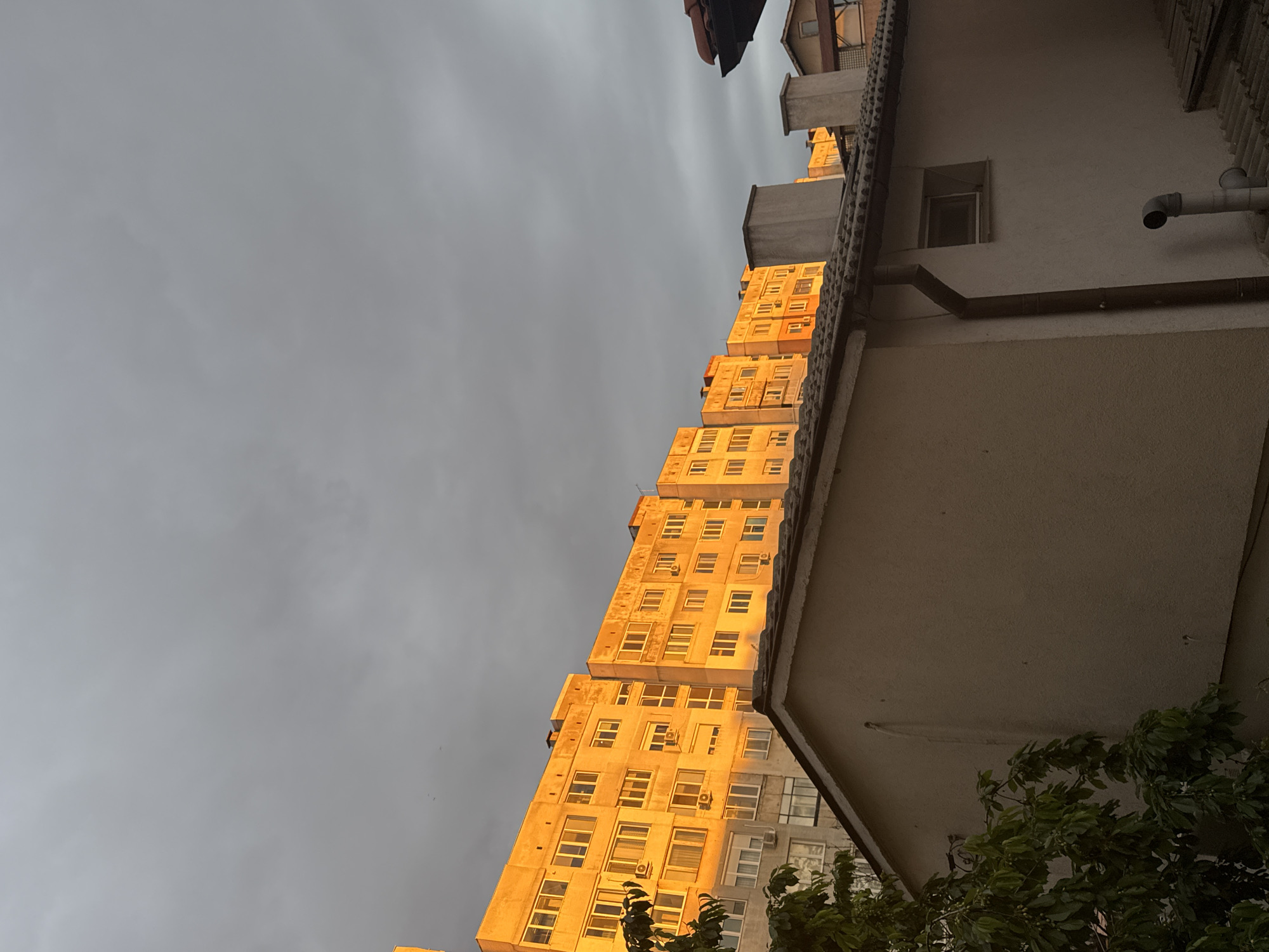 Here is a detailed description of the image:
The image shows a low-angle view of buildings in an urban setting, likely in Unknown, Unknown. The sky is overcast with gray clouds. A tall, multi-story apartment building stands out, its facade illuminated by the golden light of the setting or rising sun. The light catches the windows, creating a warm contrast against the gray sky. The apartment building appears to be made of concrete. The architectural style is simple and functional.
To the right of the apartment building, another building is visible. It is closer to the viewer, and the view is partially obstructed. The building has a drain pipe, a small window, and a textured exterior wall.
In the lower right corner, green foliage from trees or bushes is visible. The leaves provide a natural element.
