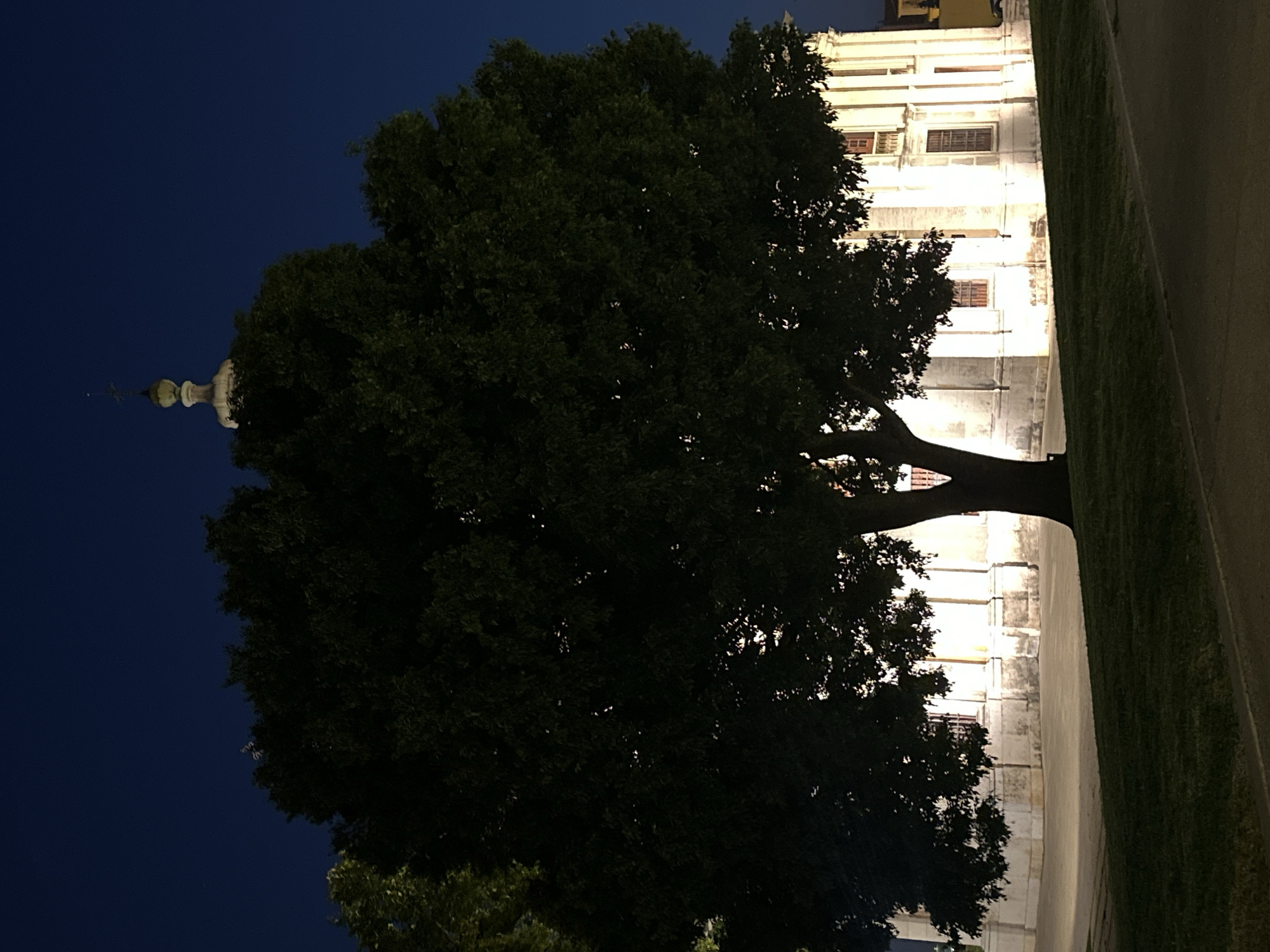 The image depicts a large, dark green tree silhouetted against a dark blue night sky. A portion of a building with illuminated windows is visible behind the tree on the right. The building appears to be made of light-colored stone and has a classical architectural style, with multiple floors and windows. A small, white dome or spire with a cross is visible in the upper left portion of the image, peeking out from behind the tree's foliage. The tree itself is dense and leafy, with its branches extending across much of the frame. The ground in the foreground is a mixture of grass and a paved surface, suggesting an outdoor setting like a park or plaza. The lighting suggests it is nighttime, with artificial lights illuminating the building. The scene evokes a sense of tranquility and mystery due to the darkness and the silhouette of the tree against the night sky. The architectural details of the building, especially the dome, hint at a location of historical or religious significance. There is no visible text in the image.