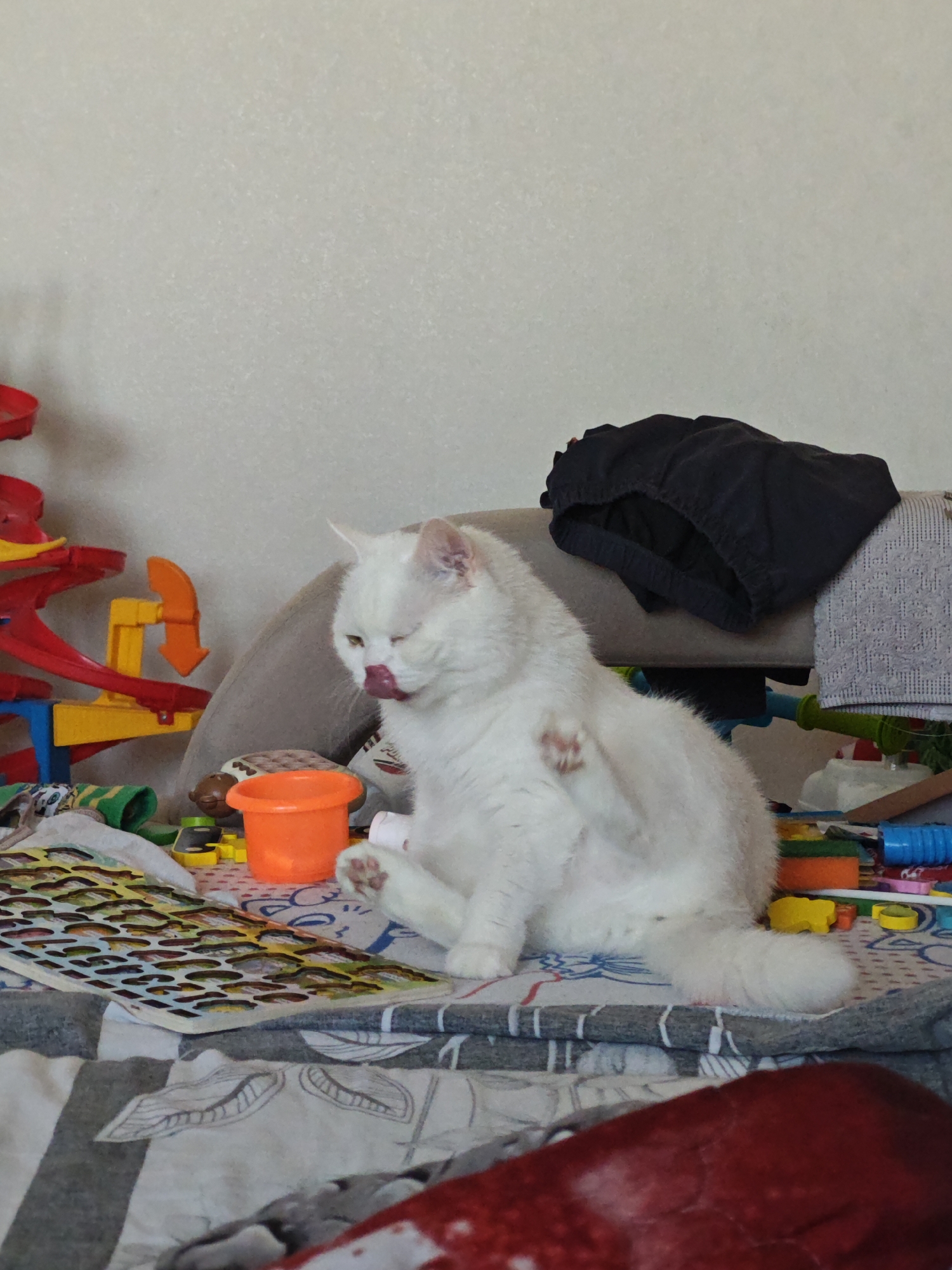 A white cat is sitting on a bed in what appears to be a room in a home or apartment. The cat is licking its paw while it is raised in the air. The bed is covered with a gray and white striped sheet. Toys and other items are scattered around the bed, including a red and yellow toy, an orange bucket, and a dark pair of shorts. The location is Markovskii, Russia.