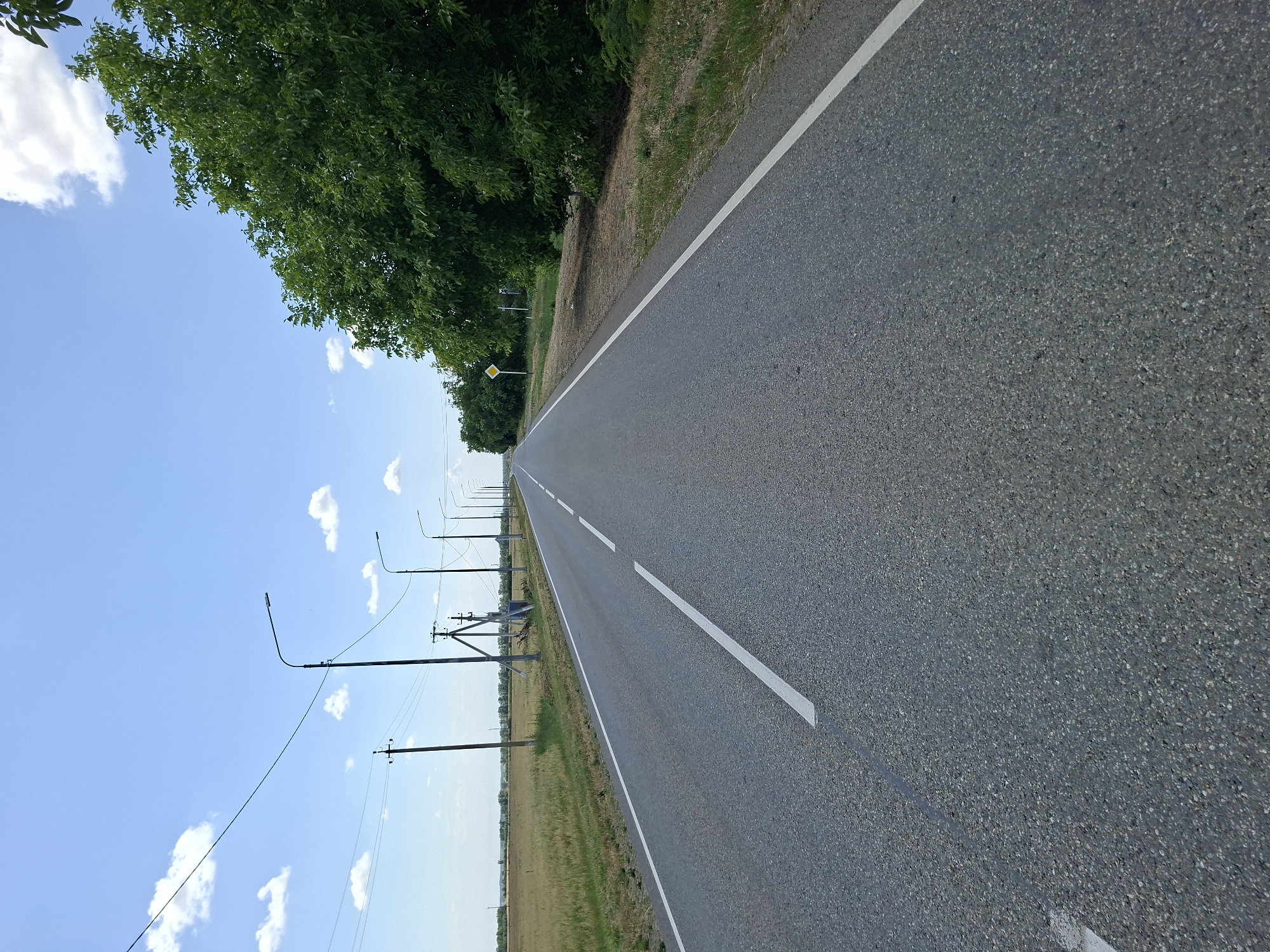 An asphalt road with white lane markings stretches into the distance under a bright blue sky with scattered white clouds. The road is lined on the left by a field of dry grass and on the right by a dense line of green trees. Several tall, dark poles with power lines are visible on the left side of the road, and a few streetlights are also present along the route. A yellow diamond-shaped sign with a black border is positioned by the trees on the right side. The scene appears to be in a rural or suburban area, possibly on the outskirts of Gorkovskiy, Russia, given the presence of agricultural fields and power infrastructure. There are no people or vehicles visible in the image.