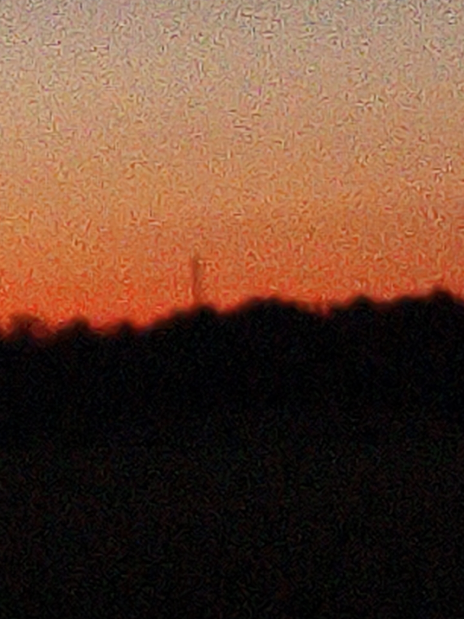 The image is a silhouetted landscape under a dusky sky. The bottom half of the image is a dense, dark mass, suggesting a thick forest or hills. The texture of this dark area is granular, hinting at a low-resolution or artistic rendering. Emerging from this darkness, near the center, is a slender, vertical object that stands out against the lighter sky. It appears to be a pole or a thin tower, perhaps a radio tower or a distant chimney.
The upper half of the image depicts the sky during what appears to be sunset or sunrise. The colors transition from a vibrant orange near the horizon to a paler, lighter tone towards the top. The sky is not smooth; it is filled with a consistent, fine-grained noise or texture that gives the entire image a slightly fuzzy or painterly quality. This texture is present throughout the sky and the silhouetted landscape.
There are no people or animals visible. The overall impression is one of quiet solitude and the vastness of nature. The time of day is clearly indicated by the gradient of colors in the sky. The weather appears to be clear, with no clouds visible. No text is present in the image. The location is not identifiable from the visual cues alone.
