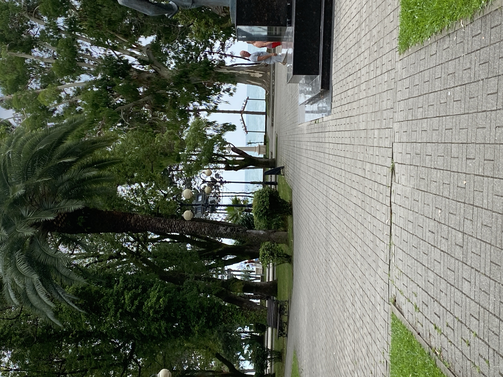The image depicts a paved walkway in a park-like setting next to a body of water, likely the sea. The walkway is constructed of light grey rectangular pavers arranged in a basket-weave pattern. Lush green grass borders the walkway on the left and in the foreground.
Several trees are visible, including a prominent palm tree on the left and a large, leafy tree with a thick trunk on the right. In the background, the calm sea stretches to the horizon under a cloudy sky. A stone monument base is visible on the right side of the image, topped with a dark, polished stone structure, likely part of a statue.
Two individuals are present. One man, wearing a light grey t-shirt and light-colored shorts, stands near the monument, facing away from the camera. A second person, partially visible, is wearing red shorts and is also near the monument. Further in the distance, two figures are seen walking along a path near the sea.
Various park amenities are scattered throughout the scene. On the left, a dark wooden park bench is situated on the grass. Several lampposts with multiple globes are visible, two on the left and one more centrally located in the background. In the distance, an archway with text written in Cyrillic script, reading "Добрая Волга" (Good Volga), is situated near the coastline. The overall atmosphere is serene and suggests a public park or promenade. The setting is identifiable as the Embankment in Sokhumi, Abkhazia, given the iconic "Good Volga" arch.