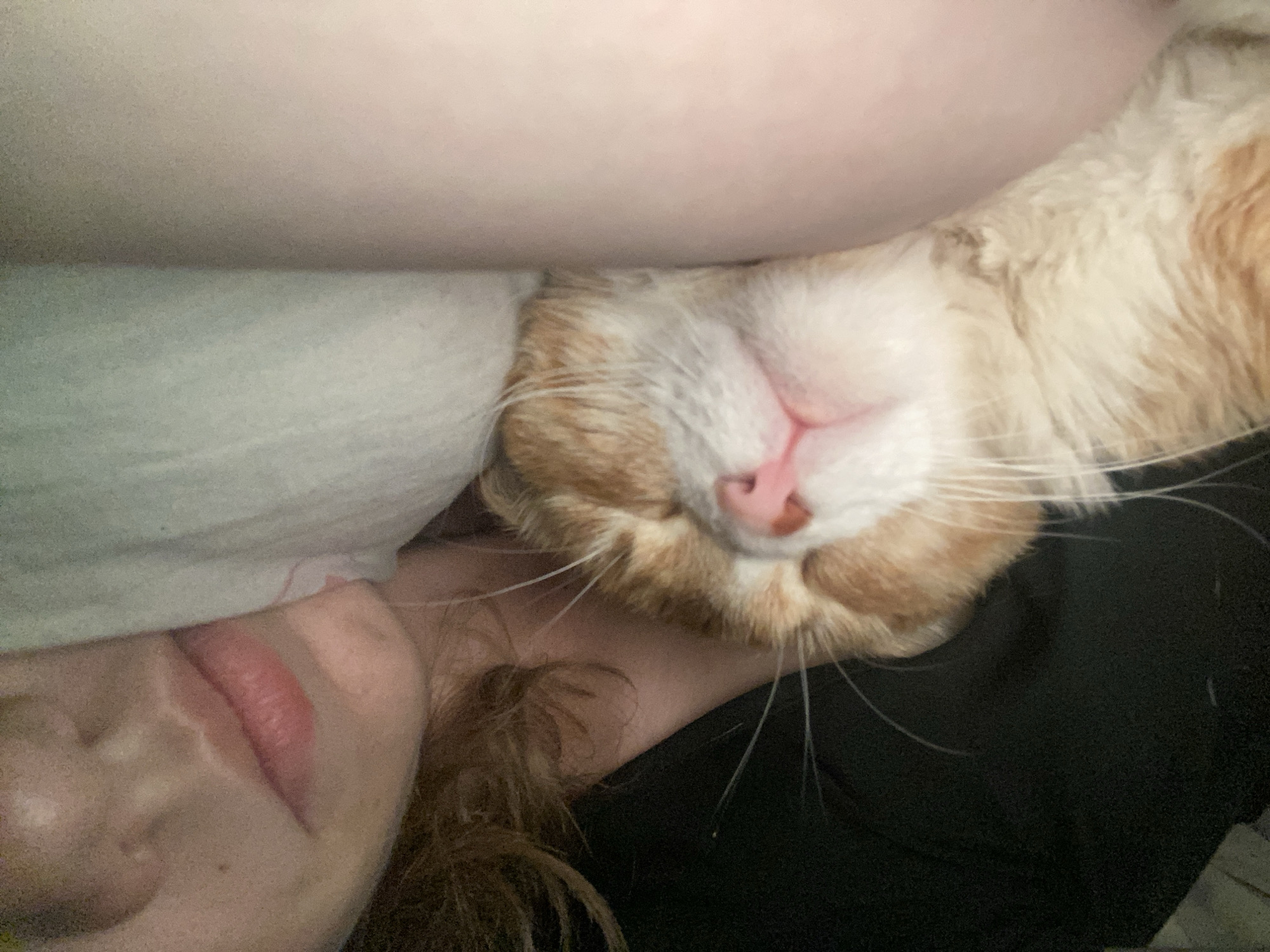 The image shows a close-up of a person lying down with an orange and white cat nestled close to their face. The person's face is visible in the lower left, with closed eyes and lips slightly parted. The cat's face is prominent, with its pink nose and white whiskers close to the person's skin. The background is blurred and indistinct, showing part of a white shirt. The location is not evident from the visual information given and is unknown.