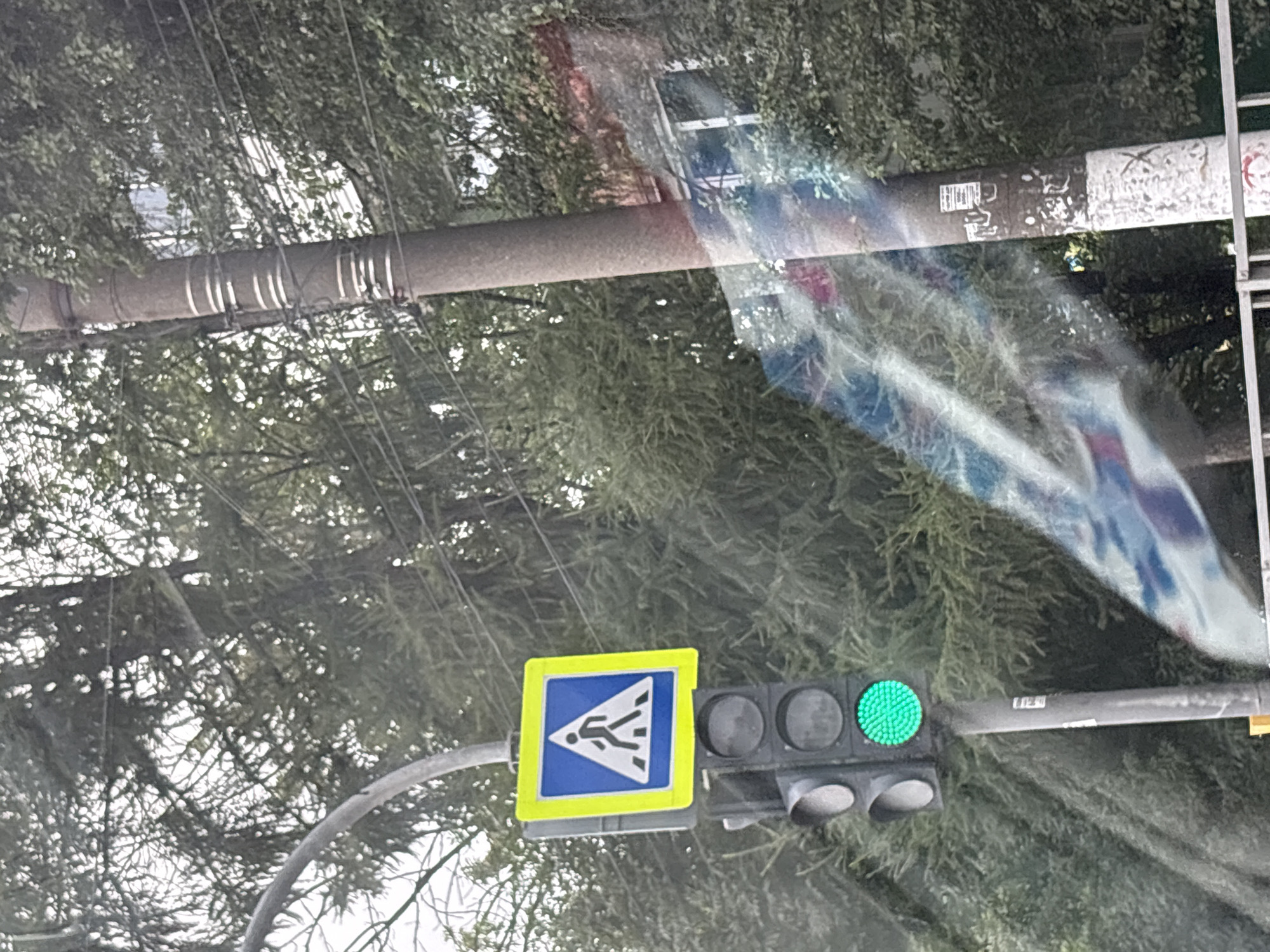 The image shows a traffic light with a pedestrian crossing sign above it. The traffic light has a green light illuminated. The pedestrian crossing sign depicts a white silhouette of a person walking within a blue triangle surrounded by a yellow border. The traffic light and sign are attached to a pole. Behind them, there are trees with dense foliage and a utility pole with wires. There is also a building visible in the background, partially obscured by trees. The scene appears to be outdoors, possibly on a street in the city of Tver, Russia, given the context. There is a reflection on the surface in the foreground, which distorts the view of the background. No people are directly visible or interacting with the traffic control devices.