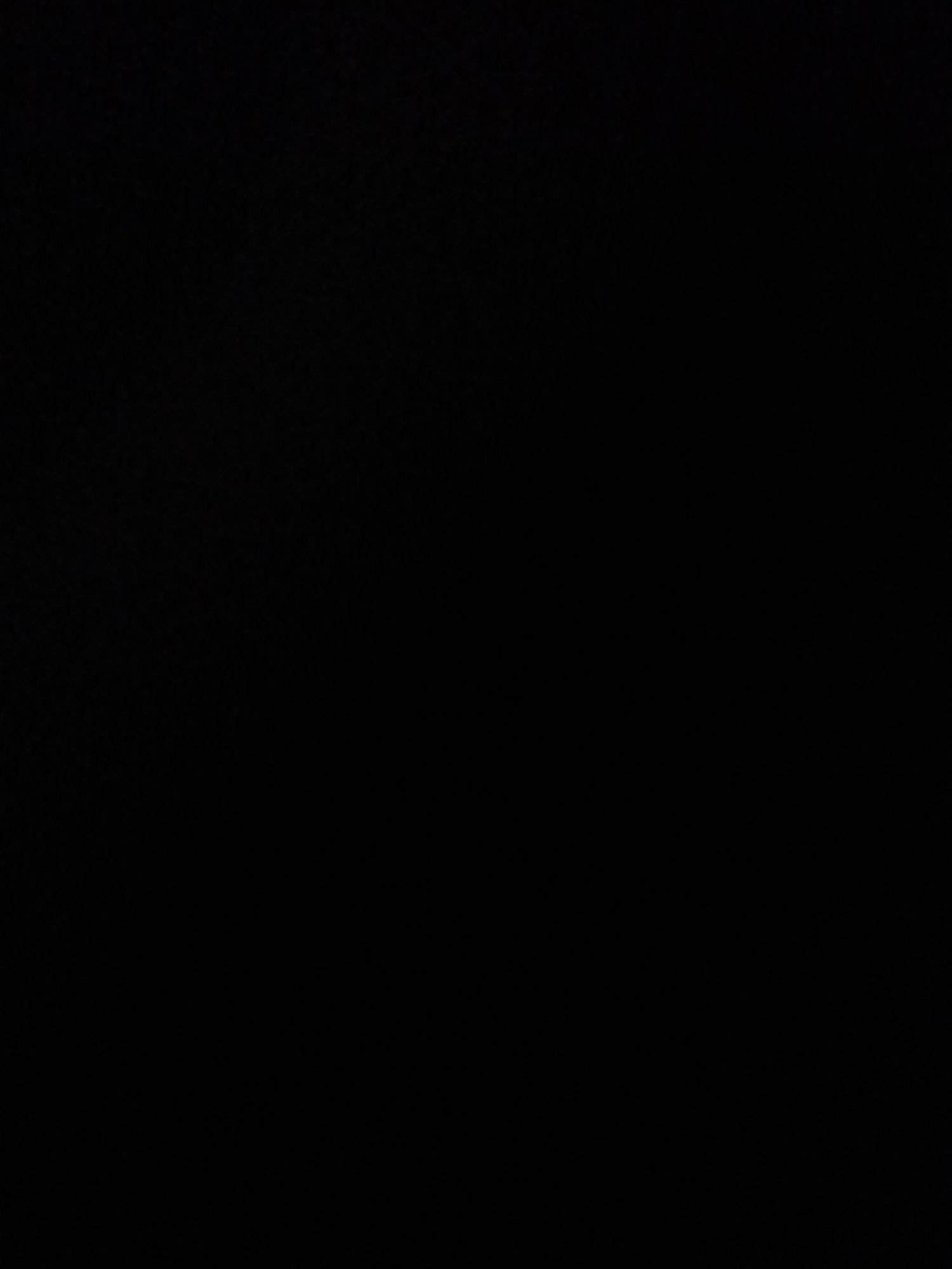 The provided image is entirely black, offering no visual information about subjects, activities, notable details, or text. Therefore, no description can be generated.