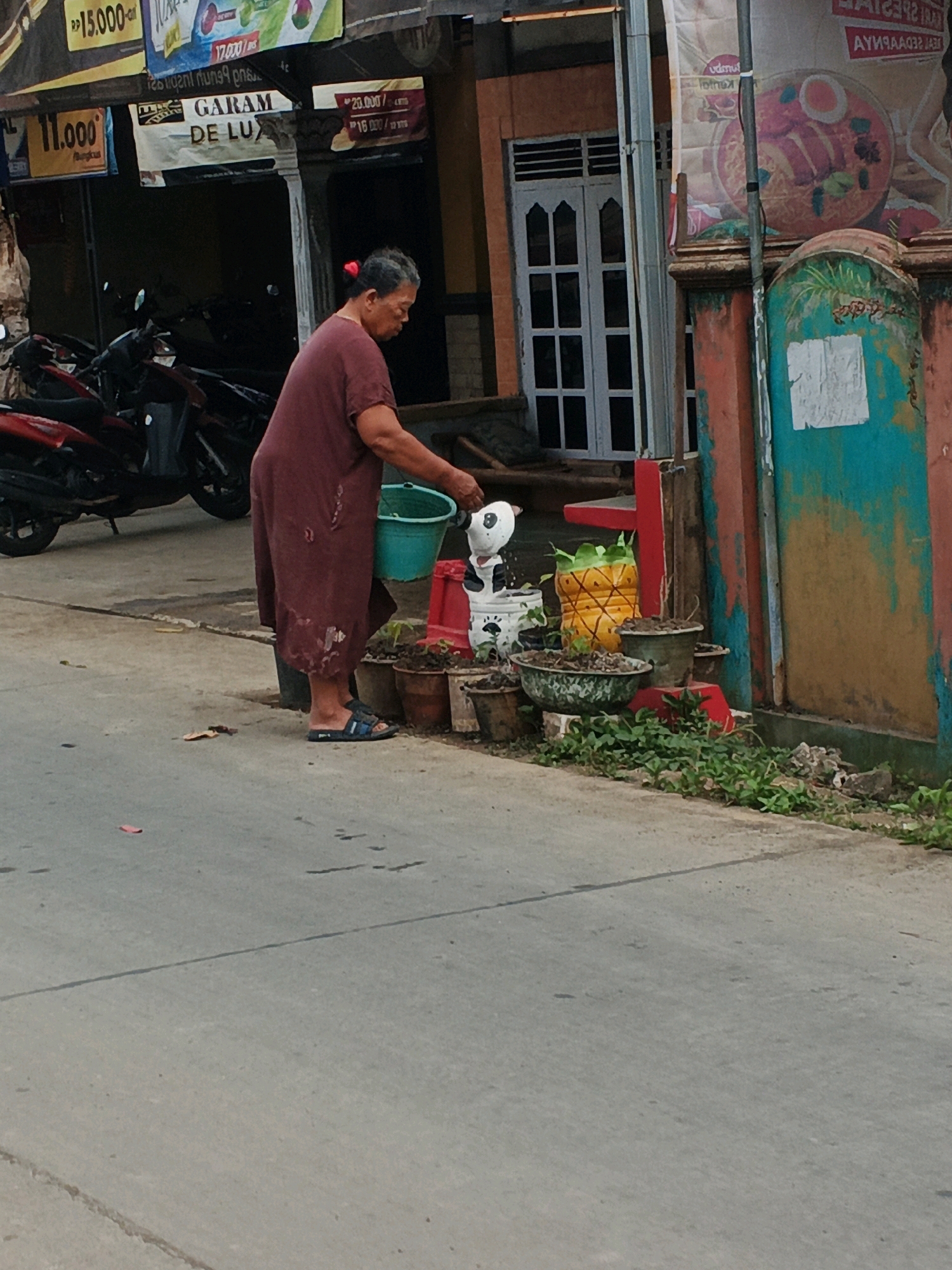 In front of a building with a weathered, colorful facade in Ciwuni, Indonesia, an elderly woman with her hair tied back in a red bun stands on a concrete sidewalk. She is wearing a dark red, long-sleeved dress. The woman is holding a turquoise bucket in her right hand and appears to be watering plants. The building's exterior features a white-framed window with multiple panes and signs advertising prices in Indonesian Rupiah. To the left of the building, several motorcycles are parked. In front of the woman, various potted plants are arranged, including one decorated to resemble a pineapple. The ground is a paved street with a thin black line dividing it. Lush green vegetation grows along the edge of the sidewalk.