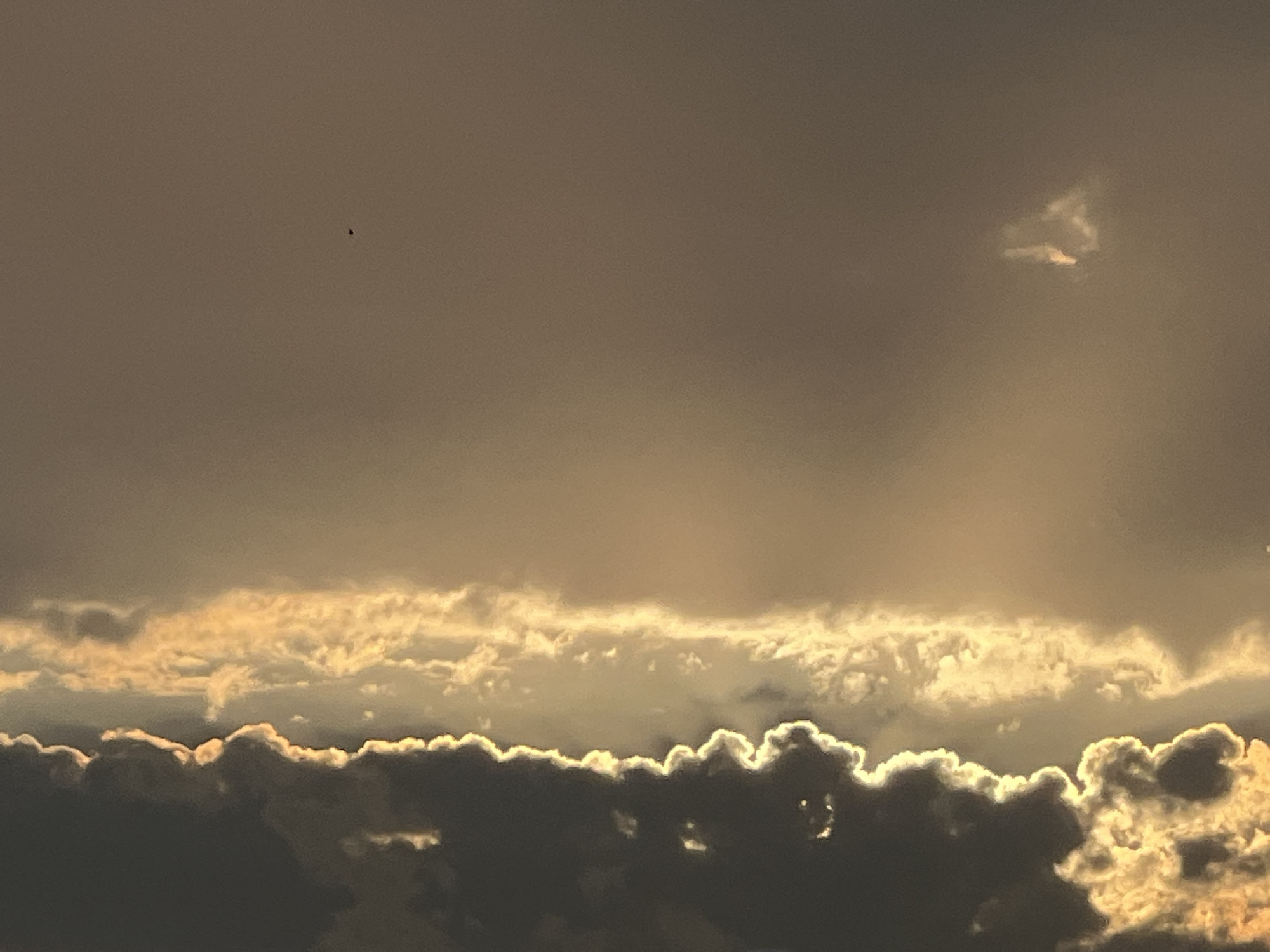This image captures a dramatic sky filled with layered clouds, illuminated by warm, golden light. The time of day appears to be either sunrise or sunset, as evidenced by the low angle of the sun and the rich, warm tones of the sky. The lower portion of the image is dominated by dark, heavy clouds that are sharply outlined by a bright, glowing edge where the sunlight catches them. Above these, a band of lighter, more wispy clouds is also illuminated, creating a sense of depth and texture. The uppermost part of the sky is a muted, hazy gray, suggesting the presence of more distant clouds or atmospheric conditions.
A tiny, dark speck, possibly a bird or an insect, is visible in the upper left quadrant of the sky, providing a sense of scale. A small, detached cloud formation with a luminous glow is also present in the upper right. The overall mood of the image is one of awe and a touch of drama, created by the interplay of light and shadow in the expansive sky. There is no visible text. The location context of Krasnodar, Russia, suggests this is an outdoor scene, likely a landscape or skyscape view. The weather appears to be dynamic, with significant cloud cover but also moments of brilliant sunshine breaking through.