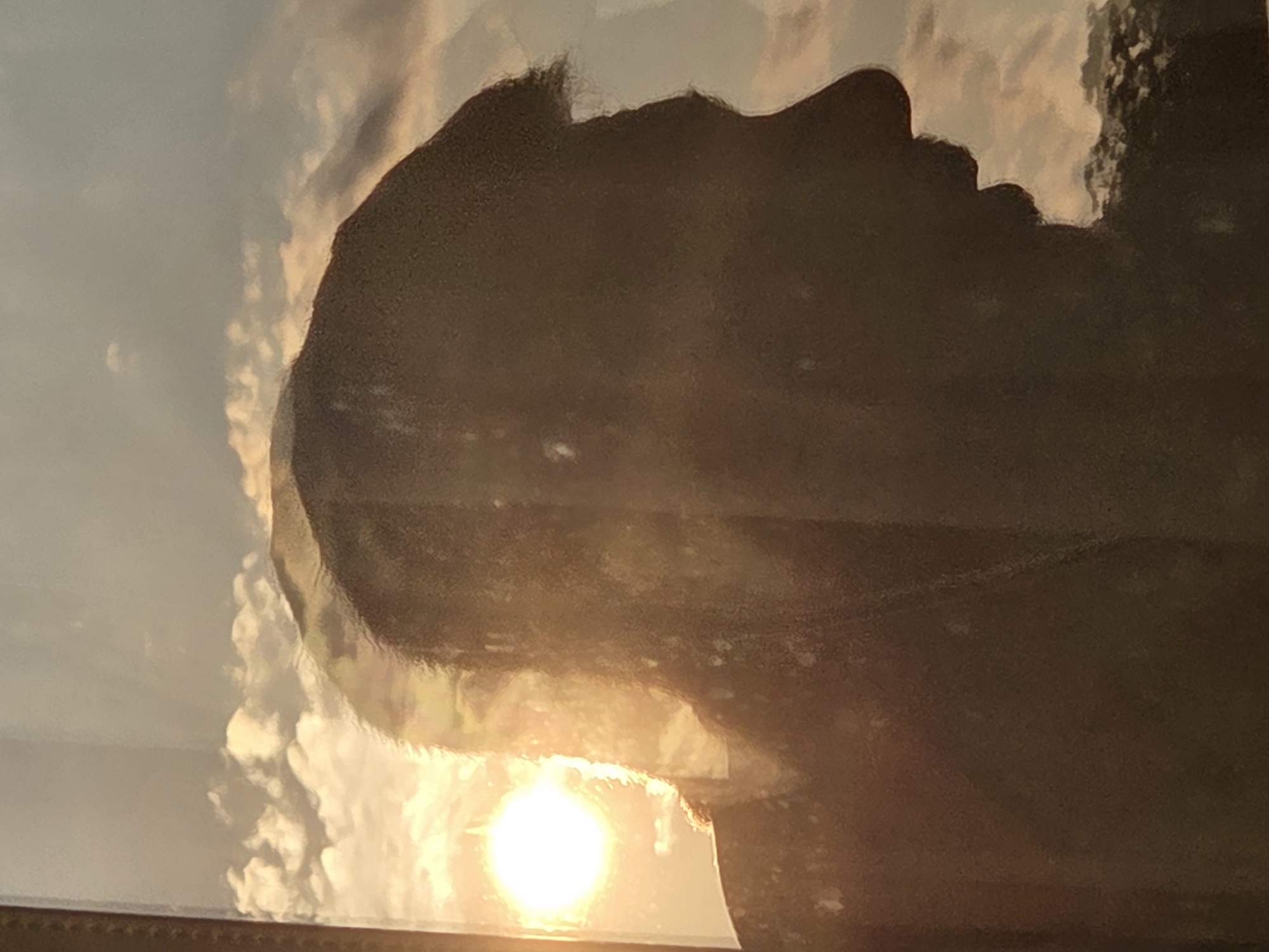An outdoor, backlit silhouette of a person's head and shoulders is captured against a bright sky with scattered clouds and a setting or rising sun. The silhouette is dark brown and shows the profile of a face with a defined nose and chin, and hair styled with a distinct comb-over. The sun, a bright white circle, is positioned to the left of the silhouette, casting a strong backlight that creates the dark outline. The background features soft, hazy clouds and a suggestion of distant landscape, possibly trees or hills, rendered in muted tones. The image appears to be a reflection, possibly in glass, given the slight haziness and subtle light flares.