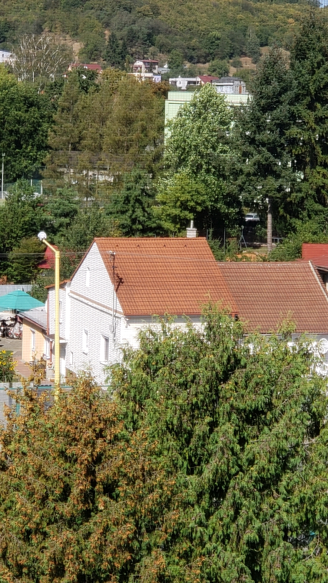 The image captures a daytime scene in Prešov, Slovakia, likely from an elevated vantage point. In the foreground, a large evergreen tree with dense green foliage partially obscures a white house with a reddish-brown tiled roof. To the left of this house, another smaller building with a cream-colored exterior and a green awning is visible, along with a yellow lamppost. Beyond these structures, the landscape rises, featuring a densely wooded hillside dotted with houses. In the middle ground, a multi-story building with a light green facade stands amongst the trees, and further back, more residential buildings with red roofs are scattered across the terrain. The overall impression is of a suburban or semi-rural area within the city, characterized by a mix of residential architecture and abundant greenery.