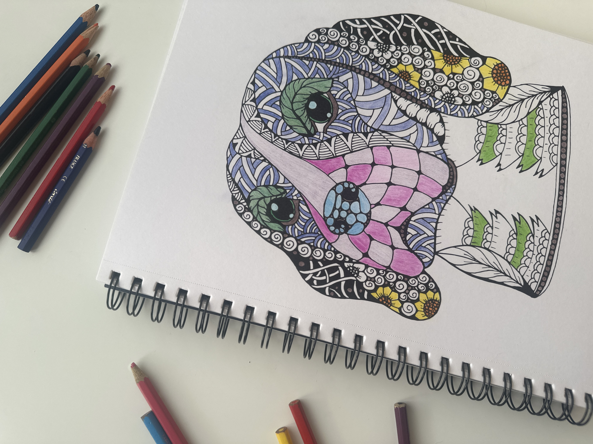 The image displays a high-angle, close-up view of a partially colored drawing of a stylized dog's head on a white, spiral-bound notebook, resting on a light-colored surface. The dog's head, intricately detailed with patterns akin to mandala or zentangle art, features sections colored with various hues. The eyes are characterized by green, leaf-shaped eyelids or eyebrows, dark green irises, and black pupils with small white highlights. The nose is colored blue with darker blue circular patterns. The snout and muzzle area are patterned with pink and light purple squares, creating a grid-like or plaid effect. Parts of the forehead and cheeks are filled with patterns of white and light blue stripes and geometric designs. The ears are predominantly black, decorated with white swirling and floral motifs, and include yellow sunflower patterns near their lower portions. The visible neck and chest area of the drawing show segments of green leaf-like patterns alternating with white scalloped or scale-like designs.
The notebook is open, with its black metal spiral binding visible along the left edge. Numerous sharpened colored pencils are scattered on the light-colored surface surrounding the notebook. In the upper right, a group of pencils, including blue, orange, dark green, purple, red, and dark blue, are arranged diagonally. The words "FRANCE" and "93" are discernible on the dark blue pencil. To the mid-left, a red and a blue pencil are positioned. Further down the left side, partially cropped, are additional pencils in yellow, red, and purple. The background is a uniform, plain light-colored surface, indicative of a desk or table. No specific architectural features, landmarks, or unique objects are present within the image to identify a location such as the city of Sofia, Bulgaria.