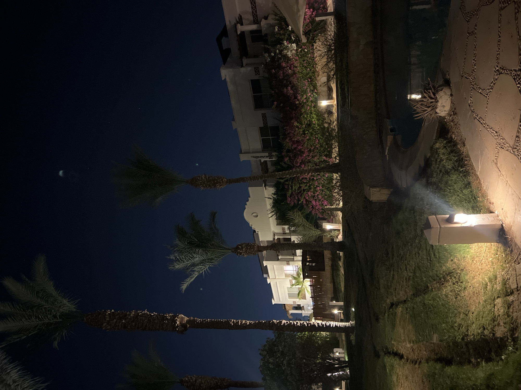 An outdoor night scene at the Rixos Premium Seagate resort in Sharm El Sheikh, Egypt, features illuminated palm trees, a white building with several windows, and flowering bushes. The ground is covered with grass, stone pathways, and a swimming pool. Several outdoor lights are visible, casting a warm glow on the surroundings. The sky is dark blue, with a few stars and a crescent moon visible.