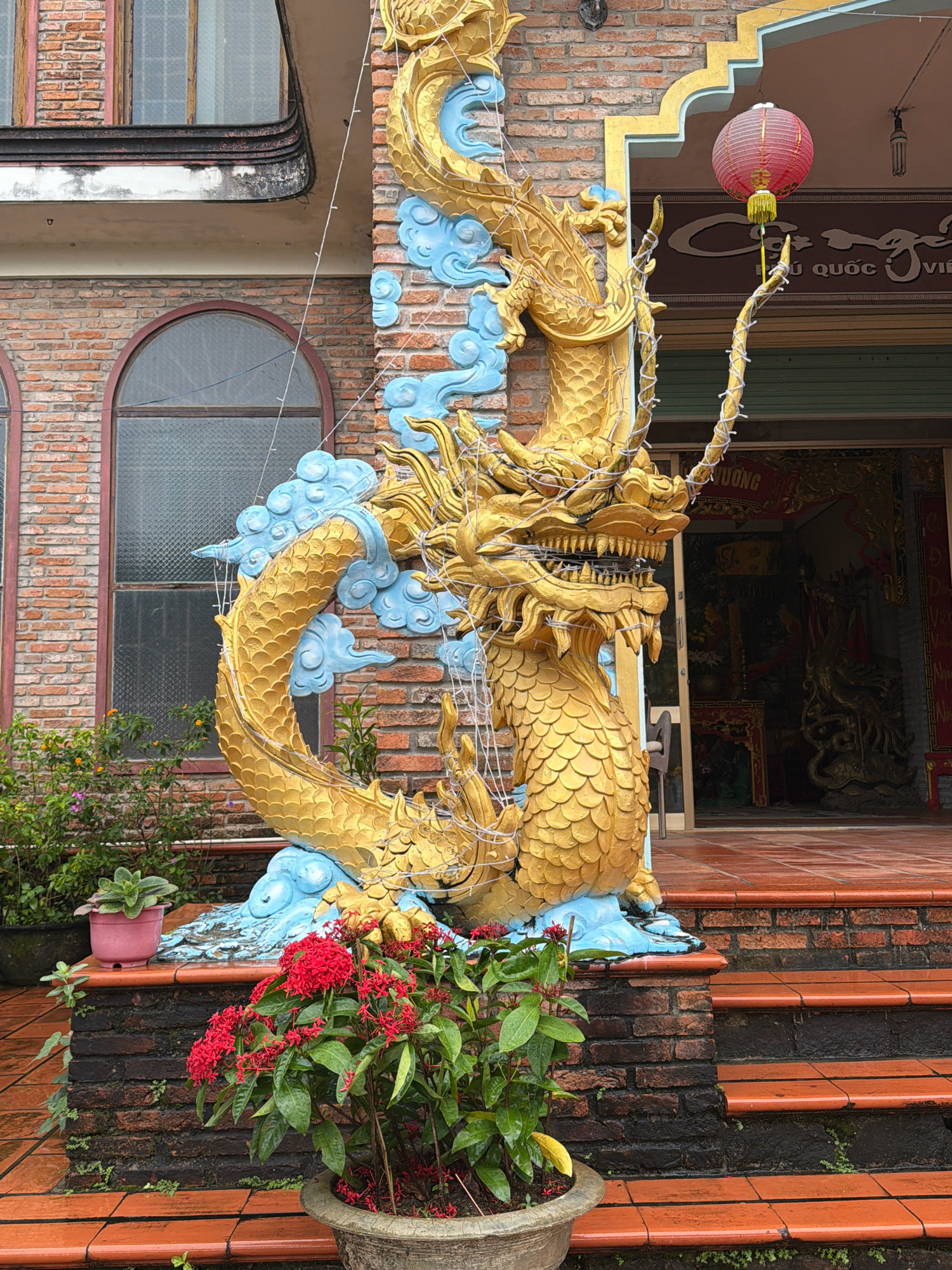 This is a medium shot, exterior, eye-level, horizontal photograph of a golden dragon statue in front of a brick building. The dragon is coiled around a pillar and adorned with blue cloud-like embellishments and white string lights. A red lantern hangs above and to the right of the dragon. The building has arched windows and a doorway. Red tiled stairs lead up to the doorway. In the foreground, there are potted plants, including one with bright red flowers. The scene appears to be in Phú Quốc, Vietnam, given the architecture and the presence of a Vietnamese inscription above the doorway. The lighting is overcast.