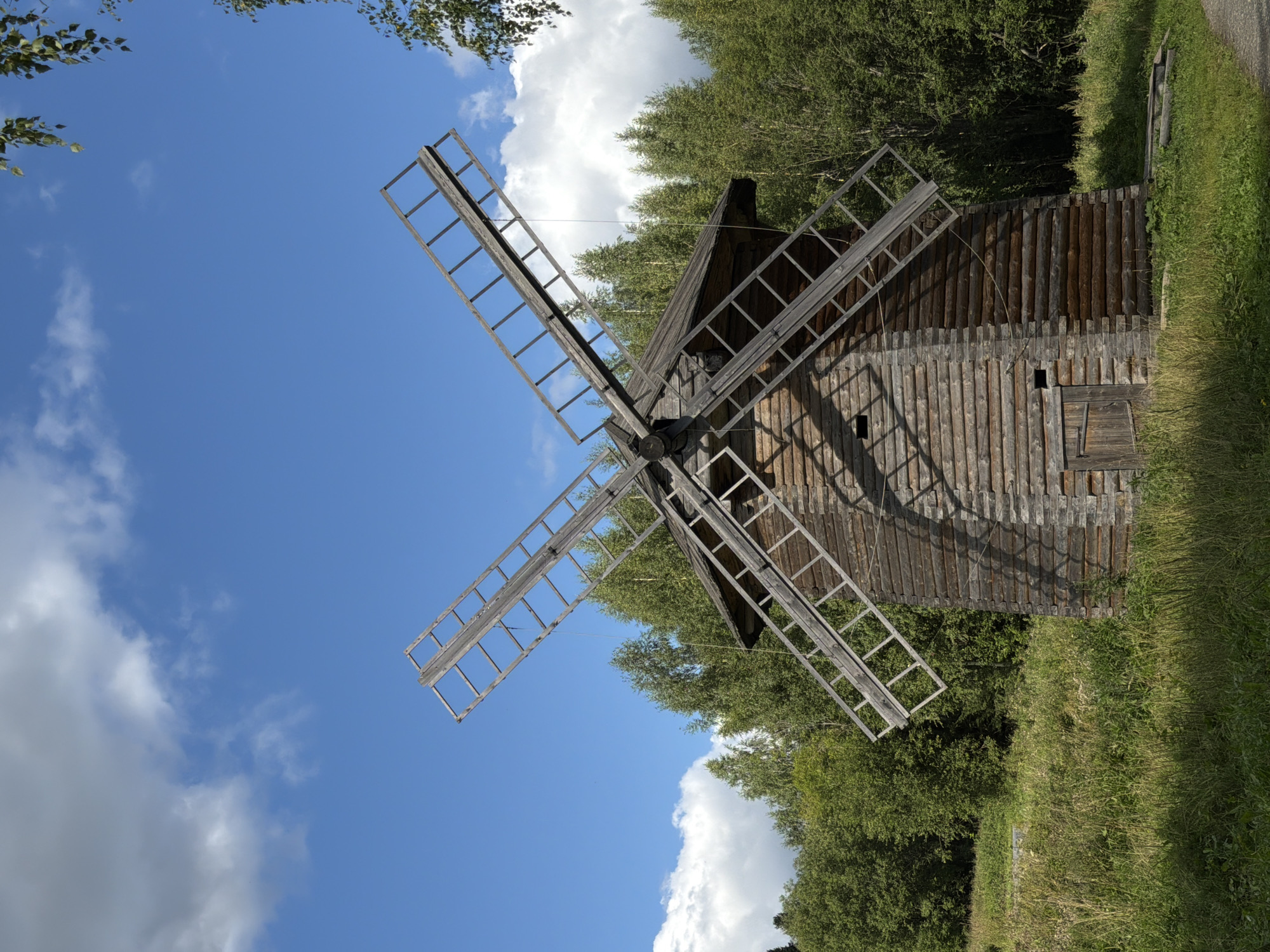 The image displays a traditional wooden windmill situated in a grassy, rural setting with a backdrop of lush green trees. The windmill is constructed from horizontal logs, giving it a rustic appearance. It features four large wooden sails, characteristic of windmills, which are tilted upwards. The sky above is a vibrant blue with scattered white clouds. In the foreground, tall grasses and wildflowers add to the natural environment. To the right of the windmill, a branch with green leaves hangs into the frame, suggesting the presence of a tree. The scene appears to be a still, daytime shot, likely taken outdoors in a peaceful, natural location. This windmill is located in the village of Gora, within the Khokhlovskoe rural settlement in Russia. There are no people or animals visible in the image.