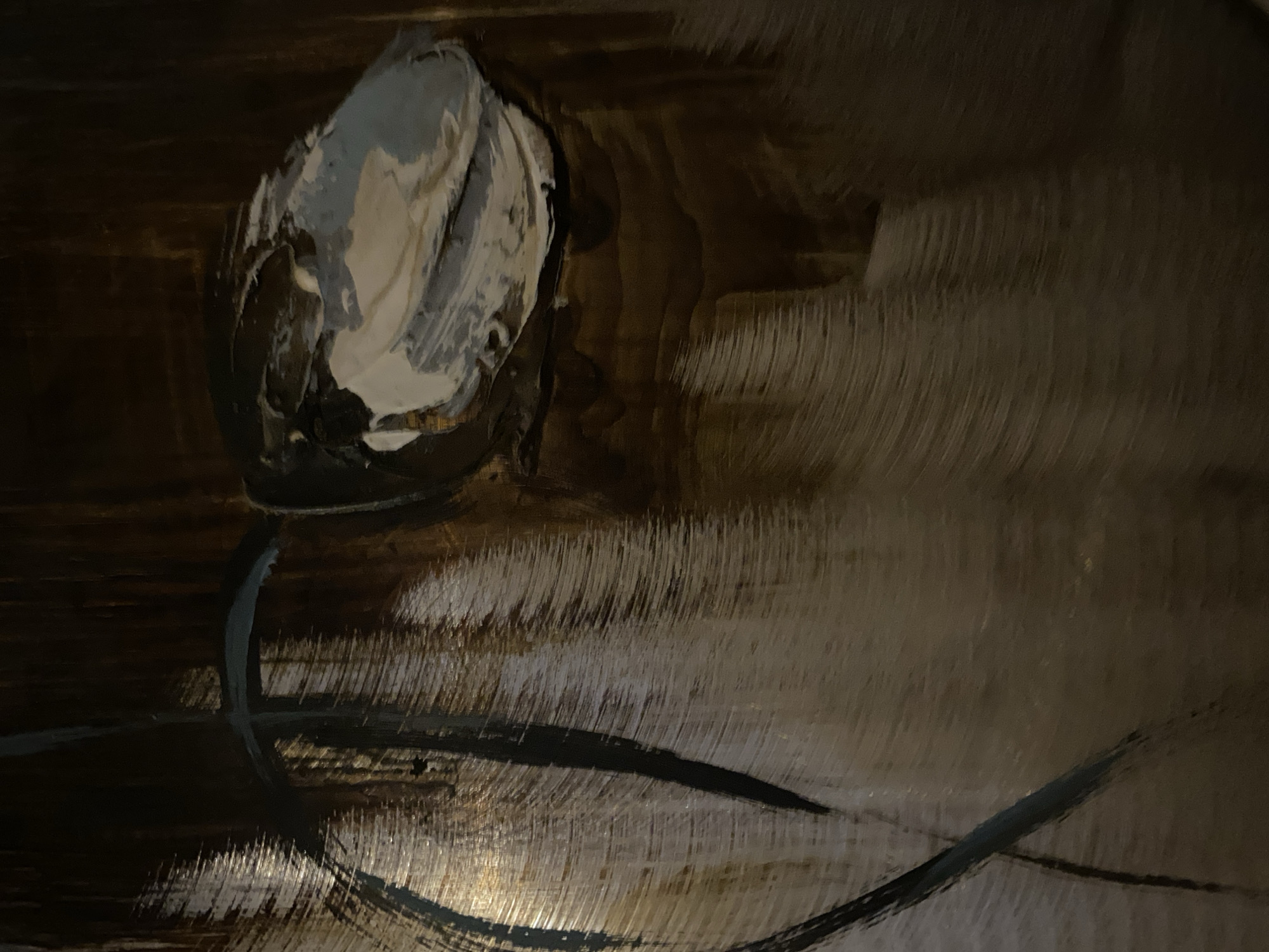 This is a close-up, abstract image of a painting. The painting features a dominant dark brown background with swirling textures and brushstrokes, giving the impression of wood grain or polished metal. A prominent element is a textured, abstract shape in the upper right quadrant, painted with thick impasto strokes of white, grey, and black, resembling a flower petal or a stylized eye. A thin, dark curved line, possibly a stem or outline, sweeps across the left and upper portions of the canvas. The lighting creates highlights and shadows that accentuate the textured surface of the painting. The image does not contain any elements that would allow for specific location identification within Giginyu, Nigeria, or any other geographical area.