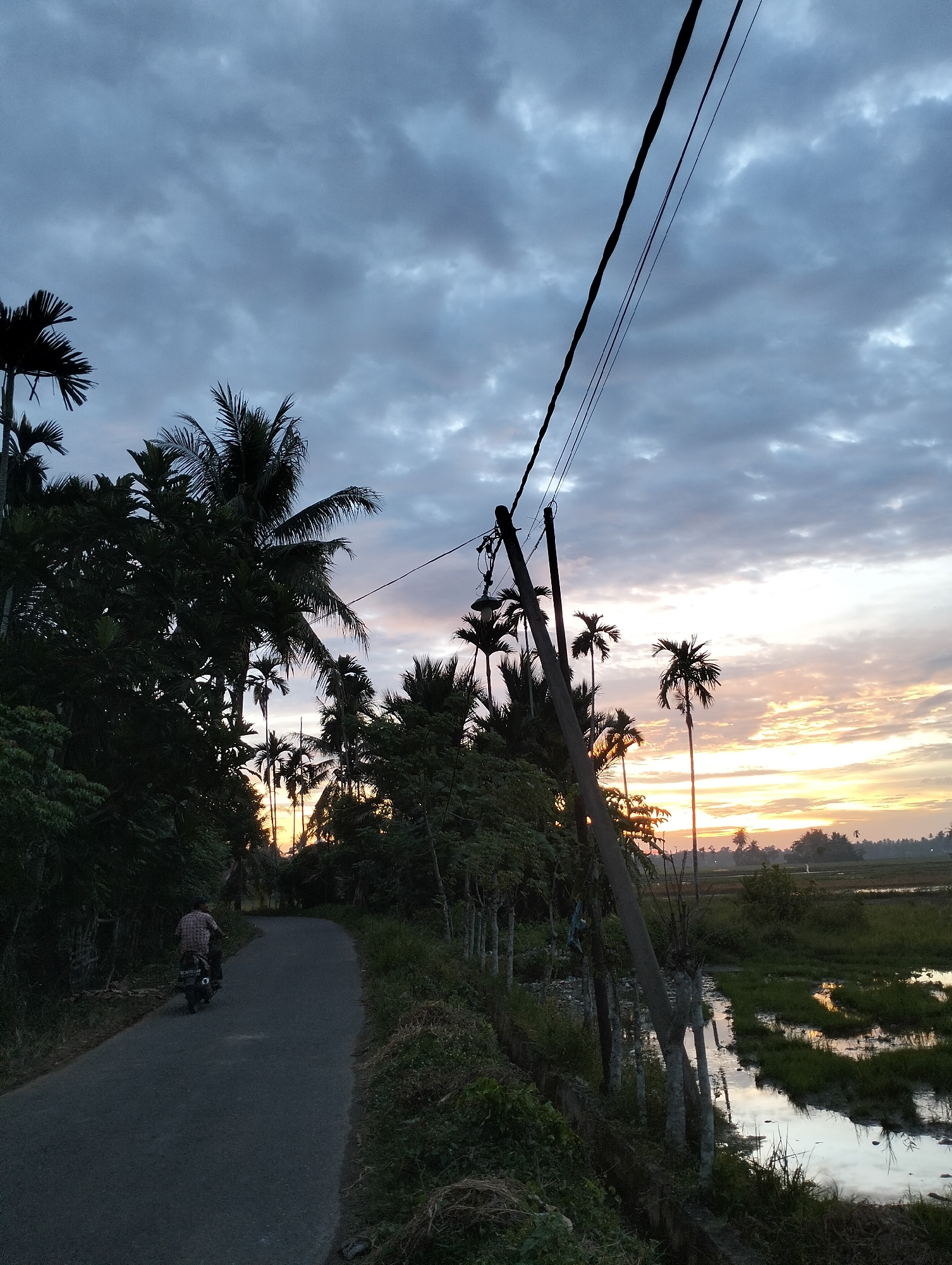 The image depicts a rural road in Meunasahalue, Indonesia, during either sunrise or sunset. A person is riding a motorcycle away from the camera on the paved road. The road is flanked by lush green vegetation, including numerous palm trees. In the distance, rice paddies are visible, reflecting the sky. Power lines run diagonally across the upper right portion of the frame, supported by a utility pole. The sky is filled with dramatic clouds, with warm hues of orange and yellow peeking through the gray, suggesting the sun is low on the horizon. The overall atmosphere is serene and natural.
