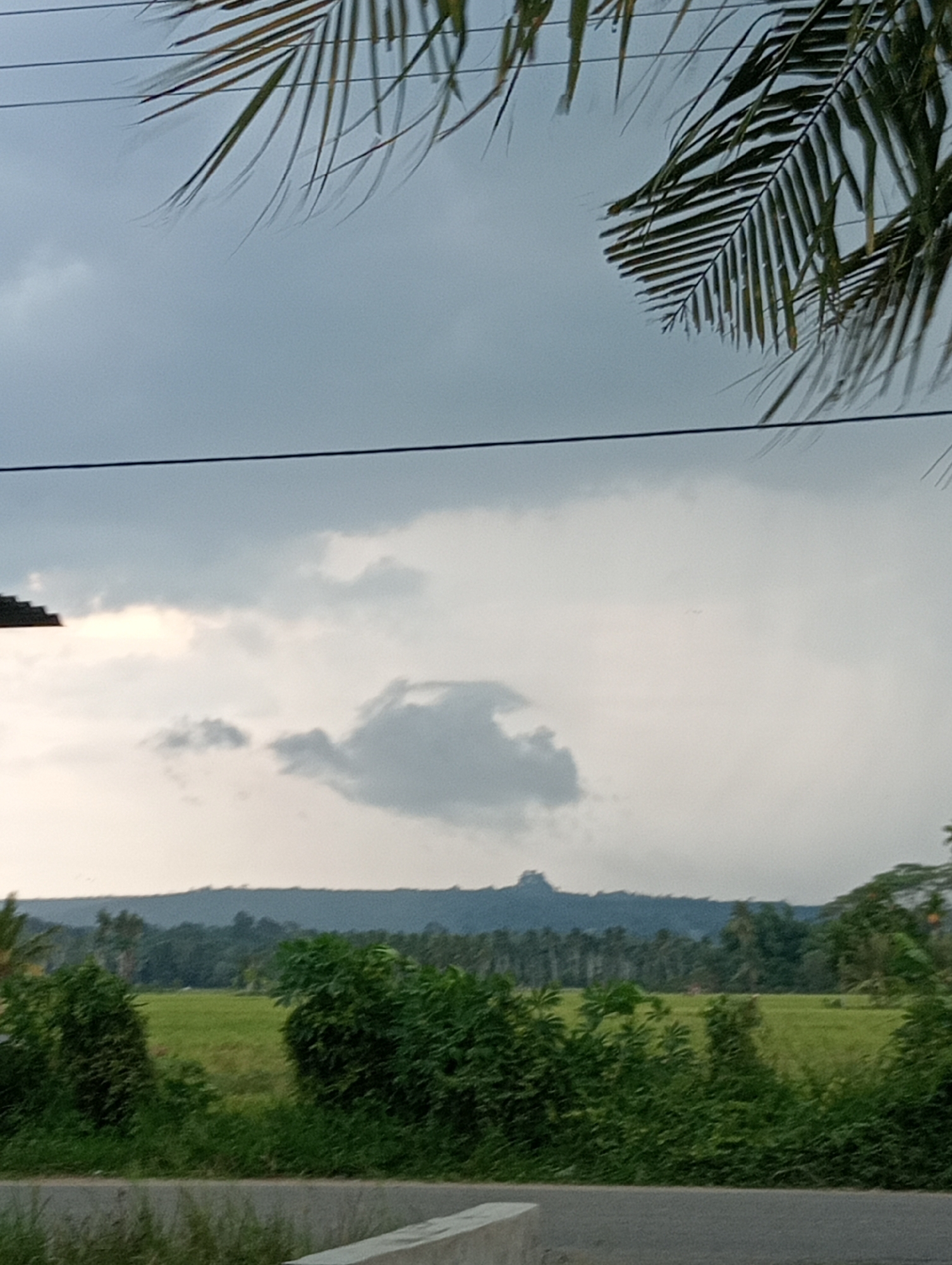 This image depicts an outdoor scene with a cloudy sky and a distant landscape. In the foreground, palm fronds are visible at the top, casting shadows and obscuring the view of the sky. Several dark wires are strung across the upper portion of the image. Below the sky, a hazy line of trees and vegetation forms the middle ground, separating the sky from what appears to be a green field or paddy. In the far distance, a silhouetted mountain range with a distinct peak can be seen against the overcast sky. The bottom of the image shows a portion of a road or pathway, with some grass and foliage bordering it. The overall impression is of a rural or semi-rural setting in Indonesia, possibly Meunasahkumbang, given the characteristic landscape. There are no people or animals visible in the scene.
