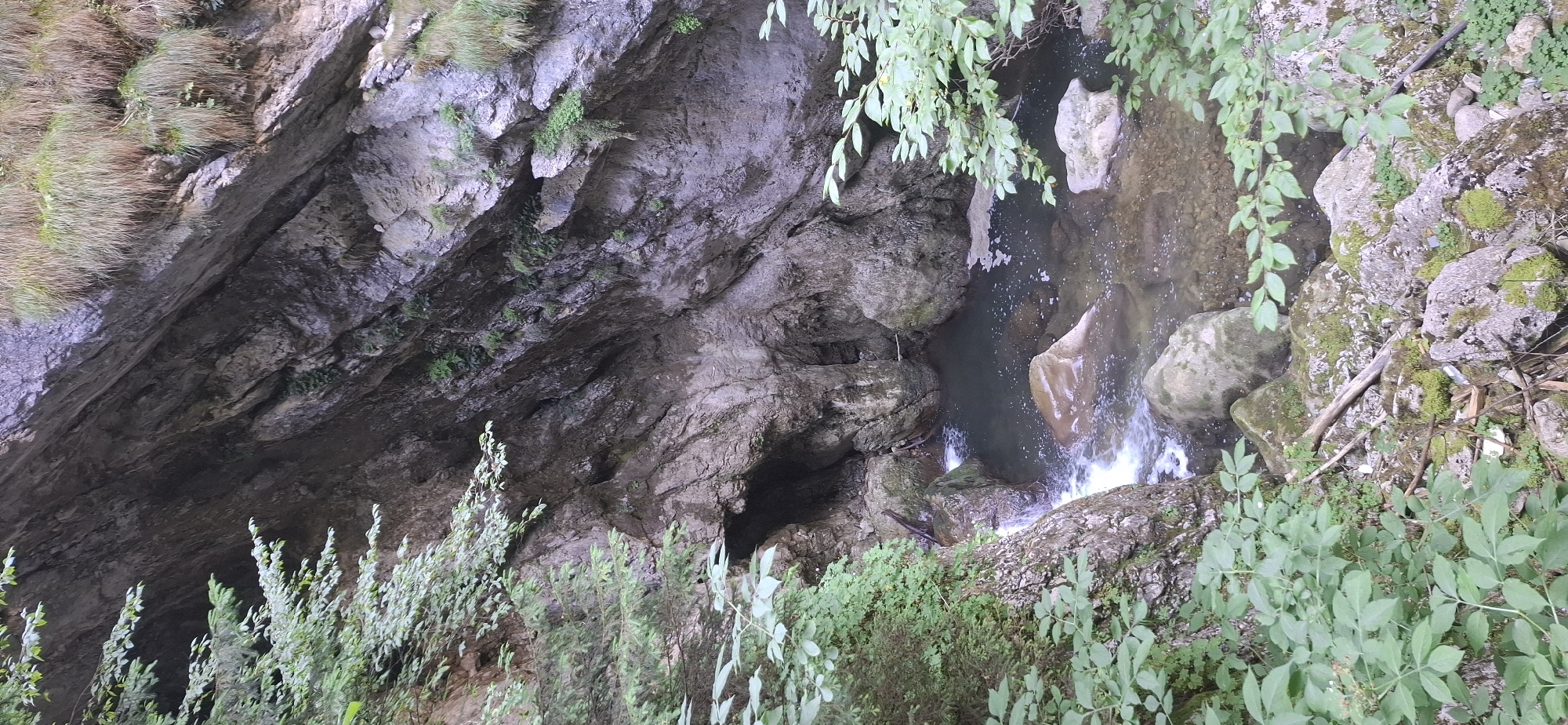 The image depicts a natural scene within the Trigrad Gorge in Trigrad, Bulgaria. The environment is characterized by a rocky gorge with steep, weathered cliffs. Lush green foliage, including trees and undergrowth, frames the scene on the left and partially along the top. At the bottom of the gorge, a body of dark water, likely a pool or a section of the Trigrad River, is visible. The water is clear enough to reveal some of the rocky riverbed and several large stones submerged within it. A small waterfall or rapid is present on the left side of the pool, where the water cascades over rocks. The overall impression is one of a secluded and rugged natural landscape. There are no people or animals visible in the image.