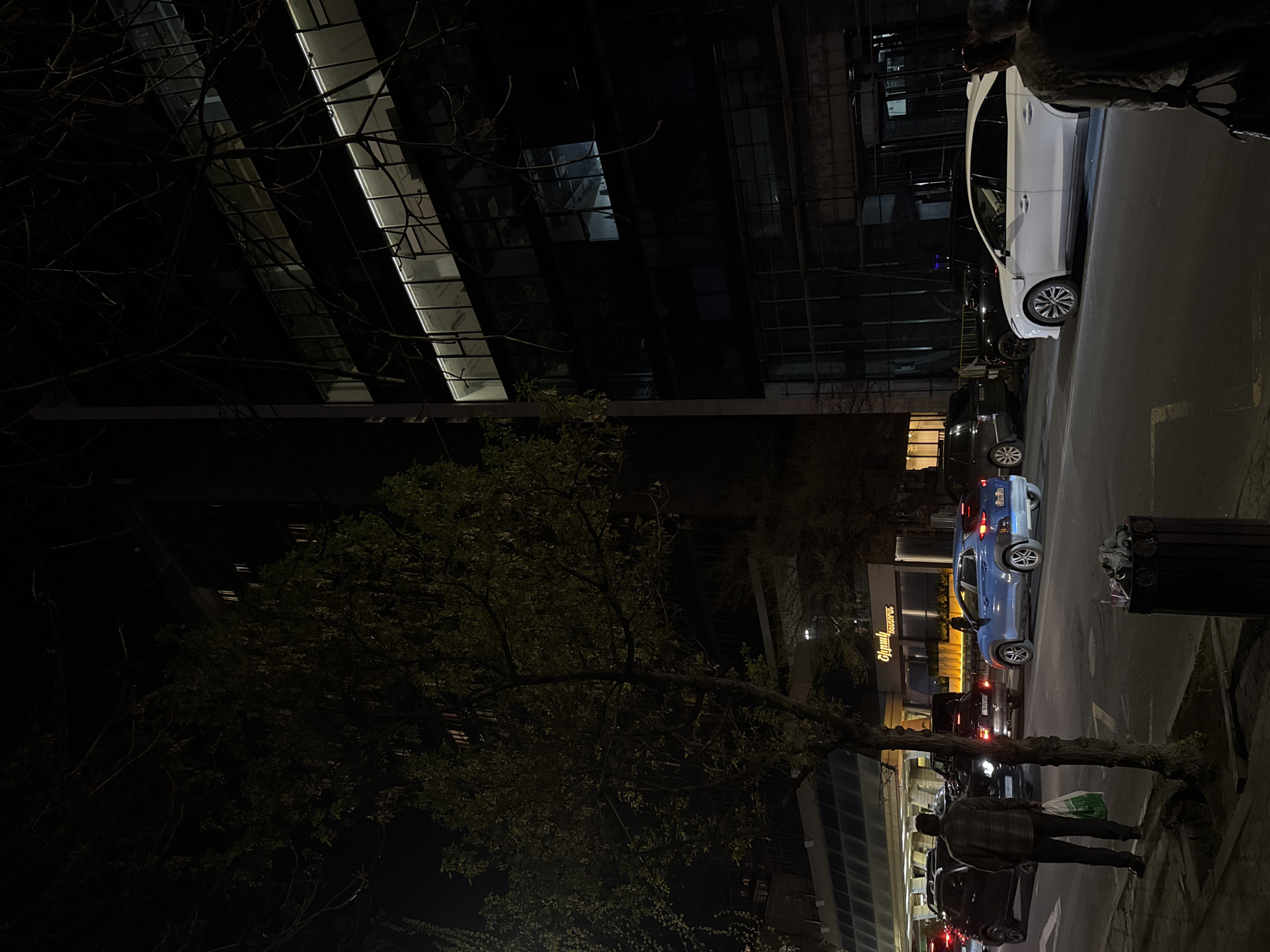 A night scene in Yerevan, Armenia, shows a street lined with parked cars and modern buildings.
The dominant architectural element is a tall, dark building with illuminated window rows, possibly an office tower. Across the street, a variety of vehicles are parked, including a white sedan, a blue SUV, and several other cars obscured by the darkness. People are visible on the sidewalk; one figure is carrying a bag.
A tree with leafy branches extends across the lower half of the frame. Street lighting illuminates the scene. A trash receptacle stands near the curb. The focus is primarily on the built environment and pedestrian street activity.