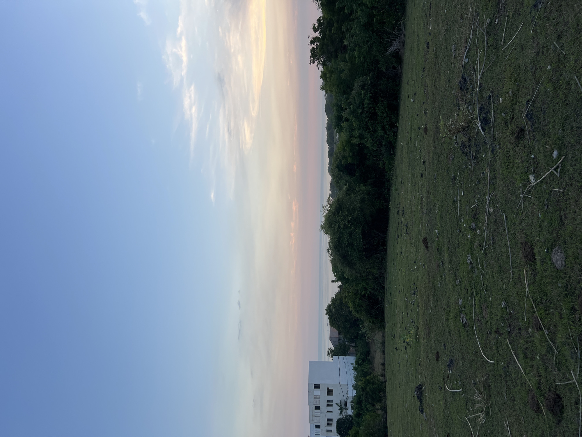 The image shows a landscape in Unknown, Unknown. The sky is a gradient of blue, pink, and yellow, likely during sunset or sunrise. Below the sky, there is a dark green line of trees. To the right of the trees is a field of green grass. In the lower left corner, there is a white building. The image is rotated 90 degrees counter-clockwise.