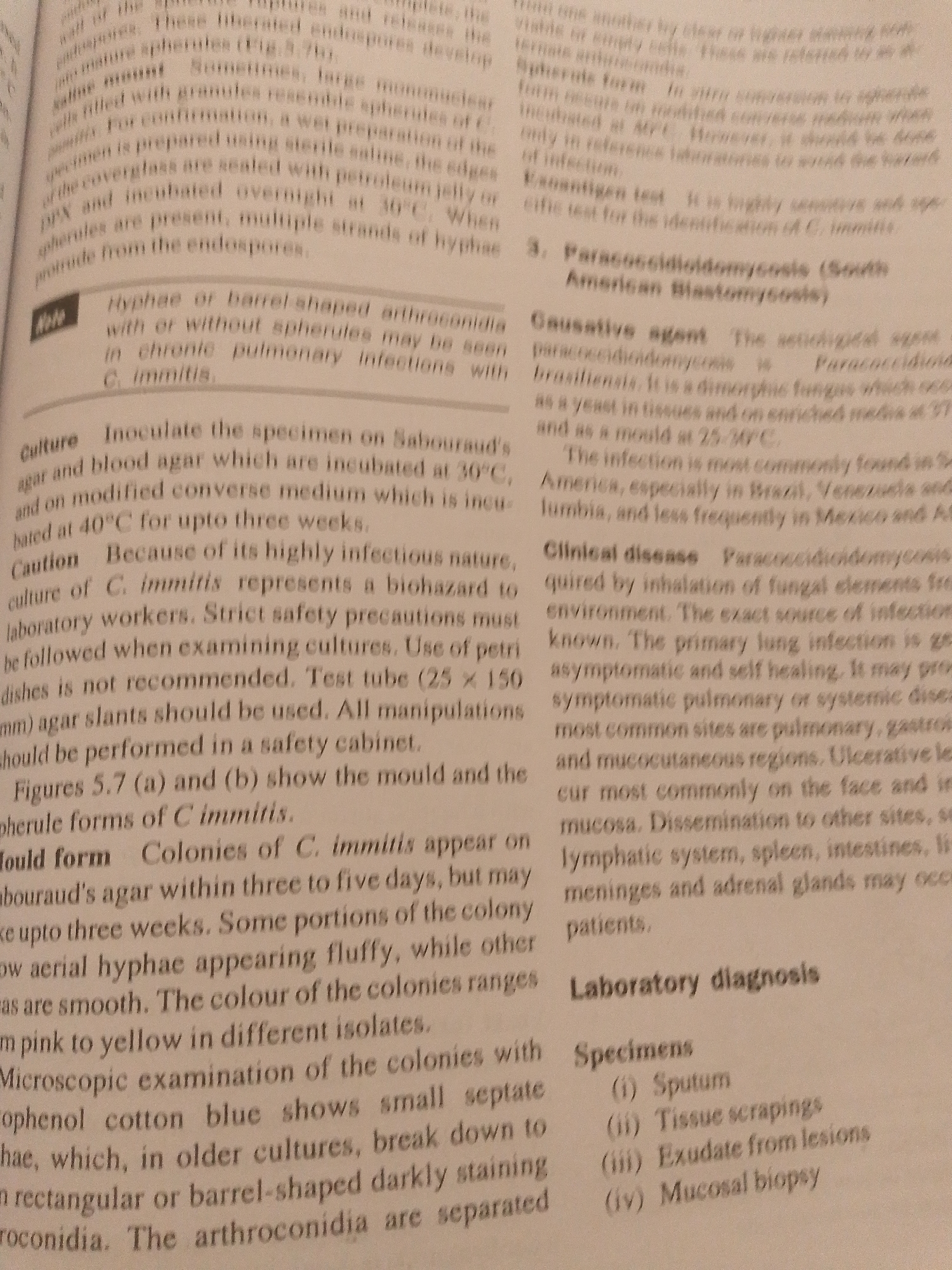 The image is a close-up, overhead shot of an open book with text and some faint imagery. The page appears to be from a medical or scientific textbook, discussing fungal infections, specifically Coccidioidomycosis and Paracoccidioidomycosis. The text is in English, with some Latin names and scientific terminology. There are no people or clear objects other than the book itself. The lighting suggests an indoor setting, possibly under artificial light, as there are no indicators of time of day or weather. The focus is entirely on the printed content, with no discernible emotions or narrative beyond the informational text. The text details the morphology of fungal elements, culture methods, clinical manifestations, and diagnostic procedures related to these diseases. Specific phrases visible include "Hyphae or barrel-shaped arthroconidia," "Culture Inoculate the specimen on Sabouraud's agar," "Clinical disease Paracoccidioidomycosis," and "Laboratory diagnosis Specimens (i) Sputum." The text also mentions figures like "Figures 5.7 (a) and (b)" and scientific names such as "C. immitis," "Paracoccidioides brasiliensis," and "Paracoccidioidomycosis."
