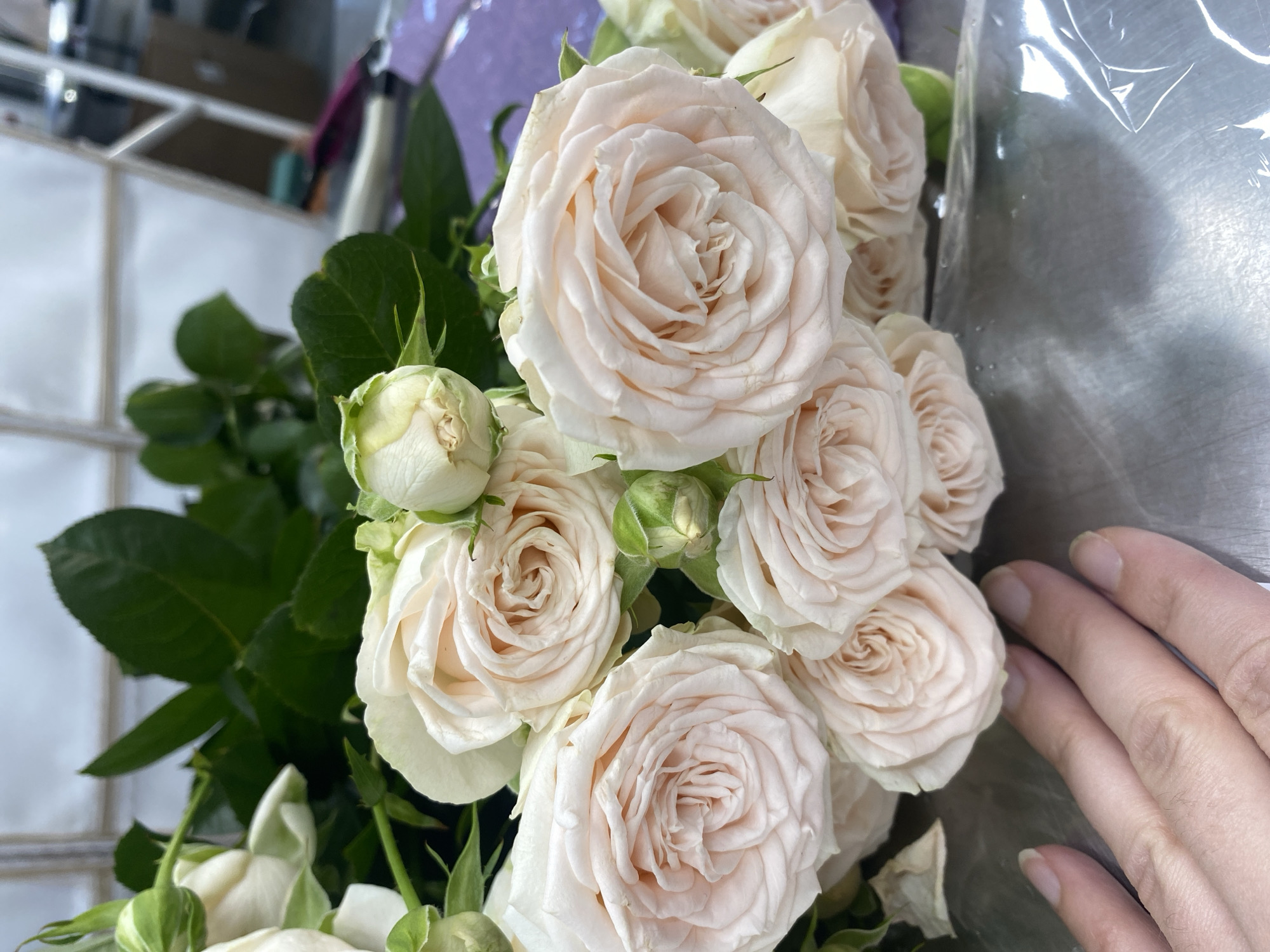 A close-up shot shows a bouquet of pale pink roses, interspersed with green leaves and buds. A human hand rests near the right side of the frame. The background is indistinct, with glimpses of a shelf and a silvery surface. There is no indication of the location being Yekaterinburg, Russia.