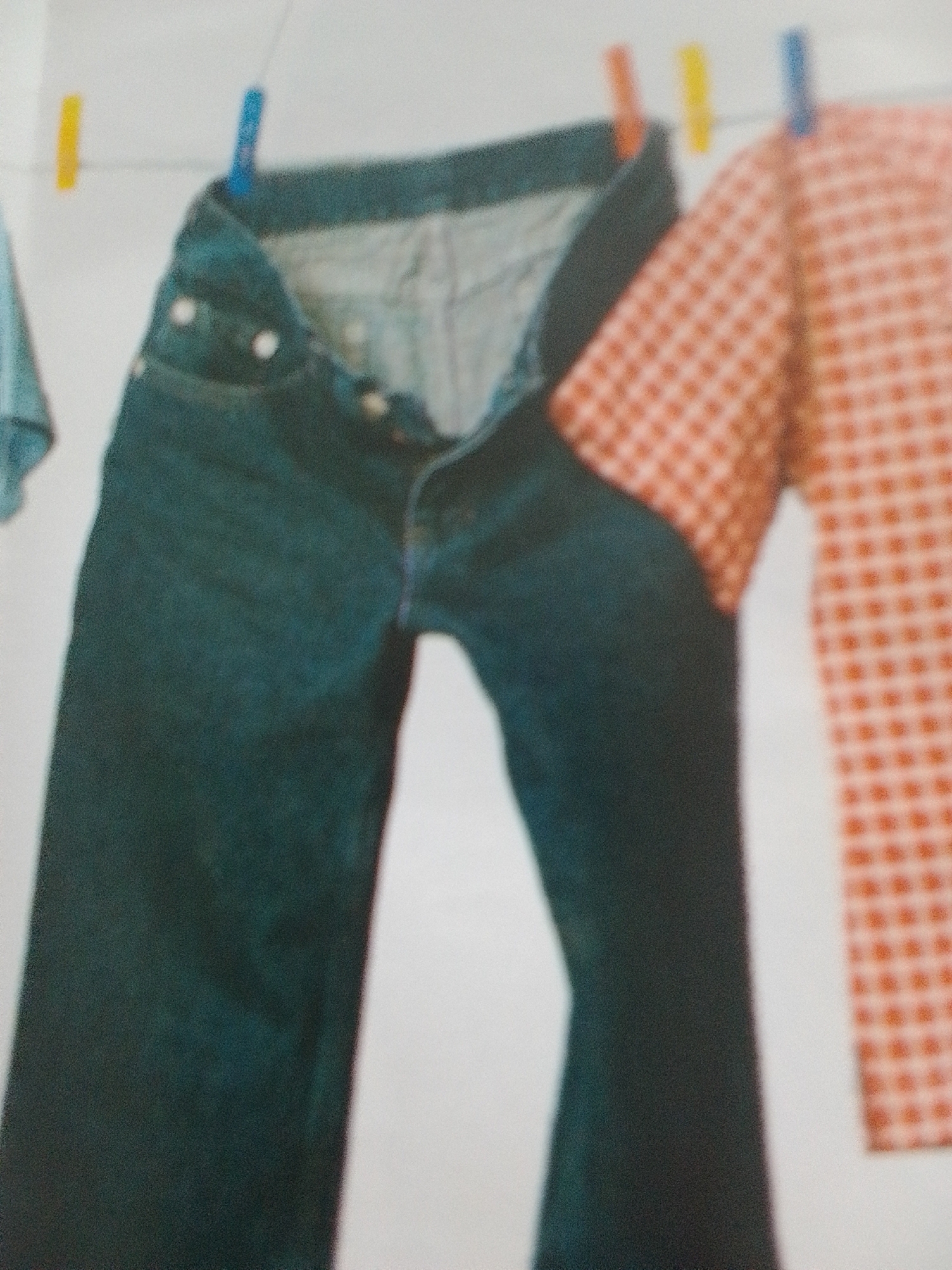 The image shows a close-up of dark blue denim jeans and a red and white checkered shirt hanging on a clothesline. The jeans are the primary focus, positioned centrally and taking up a significant portion of the frame. They appear to be unbuttoned and unzipped, with the fly open. The waistband and pockets are visible. To the right of the jeans, a red and white checkered shirt is also hanging, partially obscuring the right leg of the jeans. The shirt has a distinct gingham pattern.
The items are suspended by clothespins on what appears to be a white clothesline. There are two clothespins visible holding the jeans, one blue and one yellow. Another clothespin, orange, is visible near the checkered shirt. The background is a plain, white surface, possibly a wall or a backdrop, which helps the clothing stand out.
The lighting suggests an indoor setting or an overcast day, as there are no strong shadows. The overall impression is one of laundry being aired out. The image is somewhat blurry and grainy, suggesting it might be a photograph taken from a distance or with an older camera. There is no visible text in the image. The scene depicts the simple act of drying clothes.