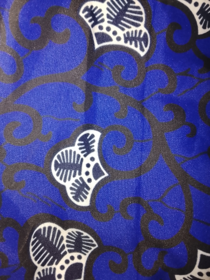 A close-up image displays a patterned textile fabric, located in the city of Mgbidi, Nigeria. The fabric exhibits a royal blue base color. An intricate, repeating design of dark grey, curvilinear, vine-like elements overlays the blue background. Within the spaces created by these dark lines, stylized floral or leaf motifs appear in white, outlined in dark grey, and detailed with internal dark grey lines and dots. No individuals, external objects, actions, or specific environmental features are discernible within the frame.