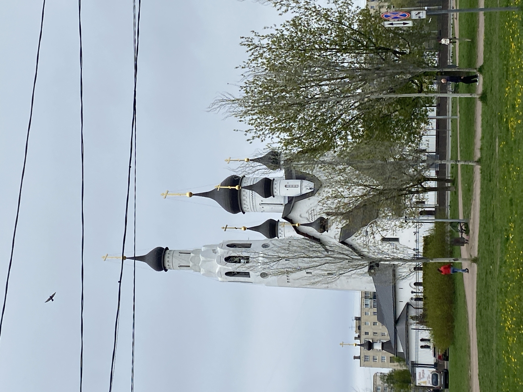 The image shows a church in Saint Petersburg, Russia. The church is white with black domes and golden crosses. There are trees and a green lawn surrounding the church. A walking path goes along the edge of the lawn. People can be seen walking on the path. There are overhead power lines in the foreground. A bird is flying near the power lines. The sky is overcast.