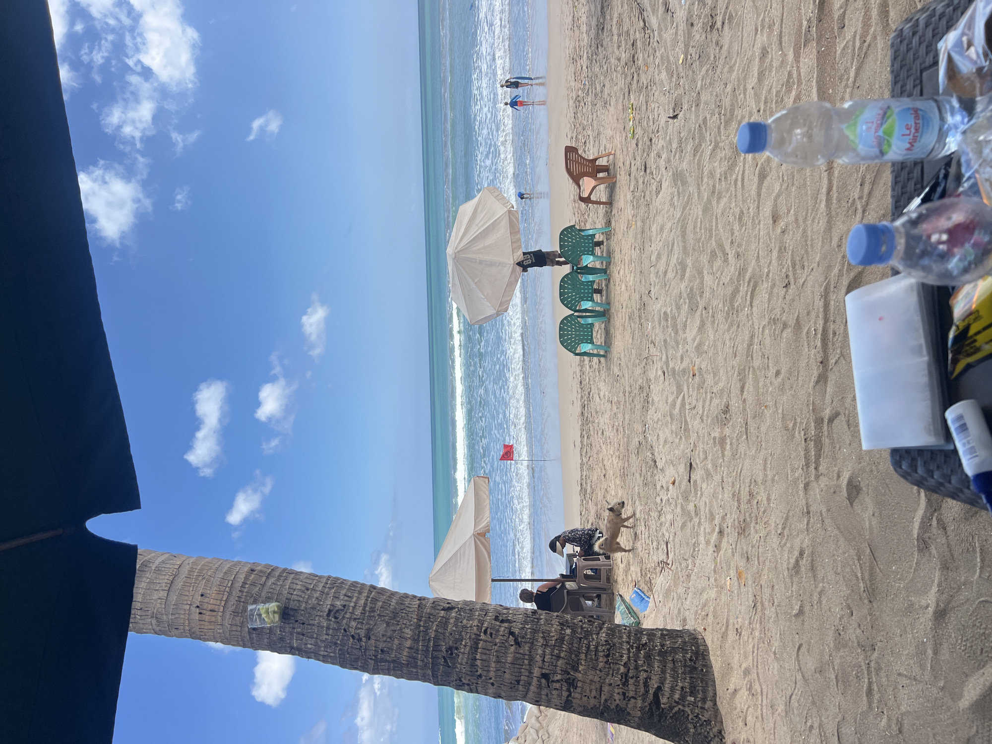 The image depicts a beach scene in Kuta, Indonesia. In the foreground, a table covered with a dark woven material holds two plastic water bottles, one labeled "Le Mineral," a white rectangular object that appears to be a tissue box, and some plastic wrappers. A large palm tree trunk occupies the left side of the frame, with a small clear plastic container holding green items attached to it.
Further back on the sand, a beige dog stands near a small beach umbrella, under which two people are seated at a table. One person appears to be looking at a laptop. To the right, several green plastic chairs are arranged, with a single orange plastic chair beside them. Beyond the chairs, a larger light-colored umbrella is held by a person standing near the water.
In the ocean, waves are breaking on the shore, and several people are visible in the water. A red flag is planted on the sand near the water's edge. The sky is blue with scattered white clouds. The overall environment is a sandy beach with the ocean and sky as the backdrop.
