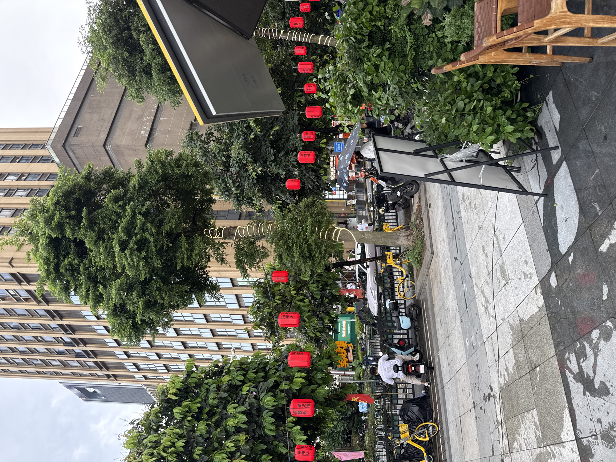 The image depicts an outdoor scene with a focus on a street lined with trees and red lanterns. In the foreground, a person in a white shirt and beige pants is interacting with a small electric scooter or delivery cart. Several yellow bicycles are parked in a rack. Behind the people and vehicles, a lush green wall of trees and foliage dominates the scene, interspersed with more red lanterns. Some of the lanterns appear to have Chinese characters on them, with visible text including "老火锅" (Lao Huoguo - Old Hot Pot) and "冯校长" (Feng Xiaozhang - Principal Feng). Further in the background, a modern building with a patterned facade stands tall. The ground is paved with large grey tiles, some of which appear wet, suggesting recent rain or cleaning. A wooden chair is visible on the right side of the image. The overall impression is of a lively urban environment, possibly a street market or a commercial area in Haizhu District, China, with elements of traditional decoration like the lanterns. The time of day appears to be daytime, and the weather seems overcast or recently rained.
