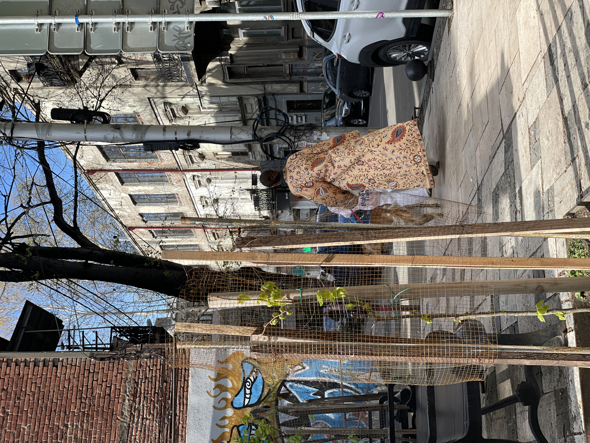 A woman wearing a tan patterned robe is standing on a sidewalk in Tbilisi, Georgia, bending over to examine something behind a series of parallel wooden planks covered in wire mesh. The mesh is strung between vertical supports. In the foreground, a low brick wall is decorated with a mural in blues, yellows, and whites. Above the wall, a bare tree limb stretches across the frame. Behind the woman, a row of weathered buildings faces the street, with parked cars visible on the right. Overhead, a traffic light hangs from a pole laden with wires. The sidewalk is paved with gray tiles. The overall impression is of an urban environment with signs of age and artistic expression.