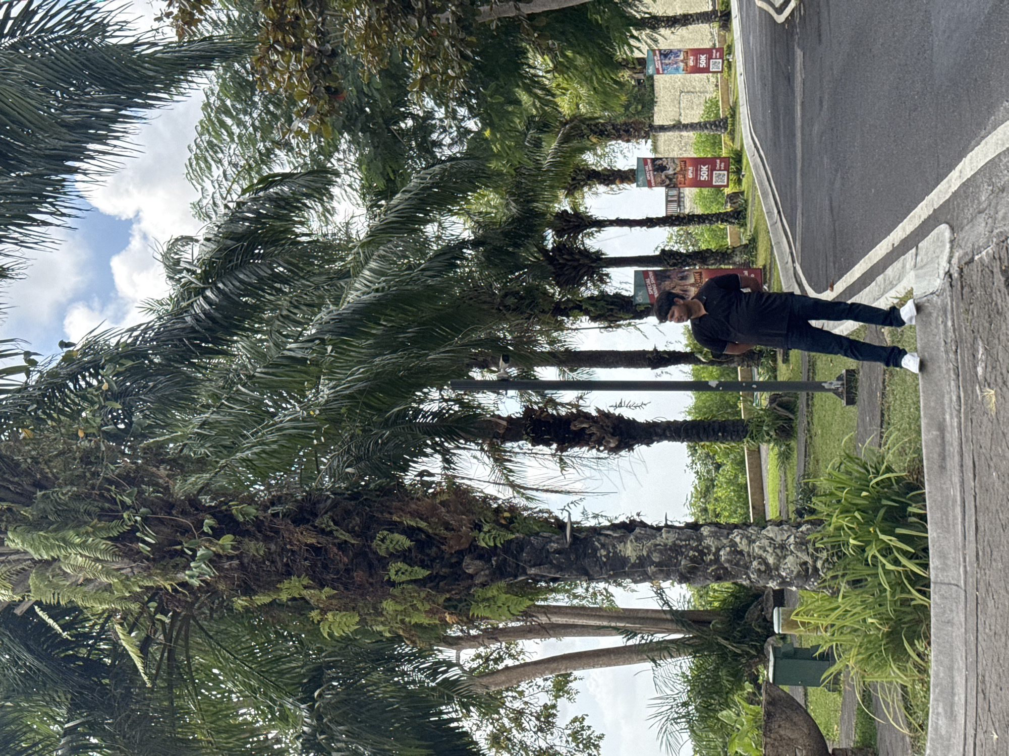A man stands on a sidewalk near a road in Kuta Selatan, Indonesia. He is wearing a black short-sleeved shirt, dark blue jeans, and white sneakers. The man is looking to his left. Behind him are several palm trees, one of which is covered in ferns and moss. The road curves to the right, and there are three vertical banners posted along the side of the road. The banners are red and white and advertise a "Special Evening Show." There are also grassy areas and some plants in the foreground. The sky is partly cloudy.