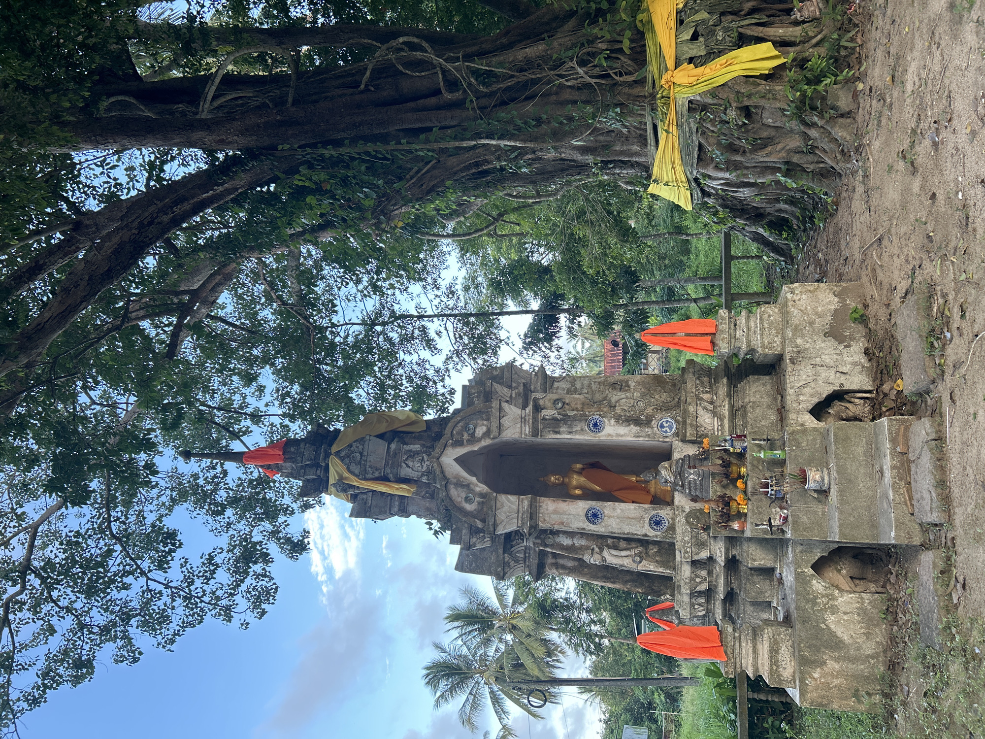 In the city of Ko Pha-ngan District, Thailand, this image captures an outdoor scene featuring a small, weathered stone shrine and a large, ancient tree. The shrine, adorned with yellow and orange fabric, houses a golden Buddha statue. Offerings, including incense and flowers, are placed at its base. To the right, the gnarled roots of the massive tree are visible, also decorated with yellow fabric. The surrounding environment is lush and green, with palm trees and dense foliage under a partly cloudy sky. The ground is covered in dirt and fallen leaves, with a rustic wooden fence visible in the background.