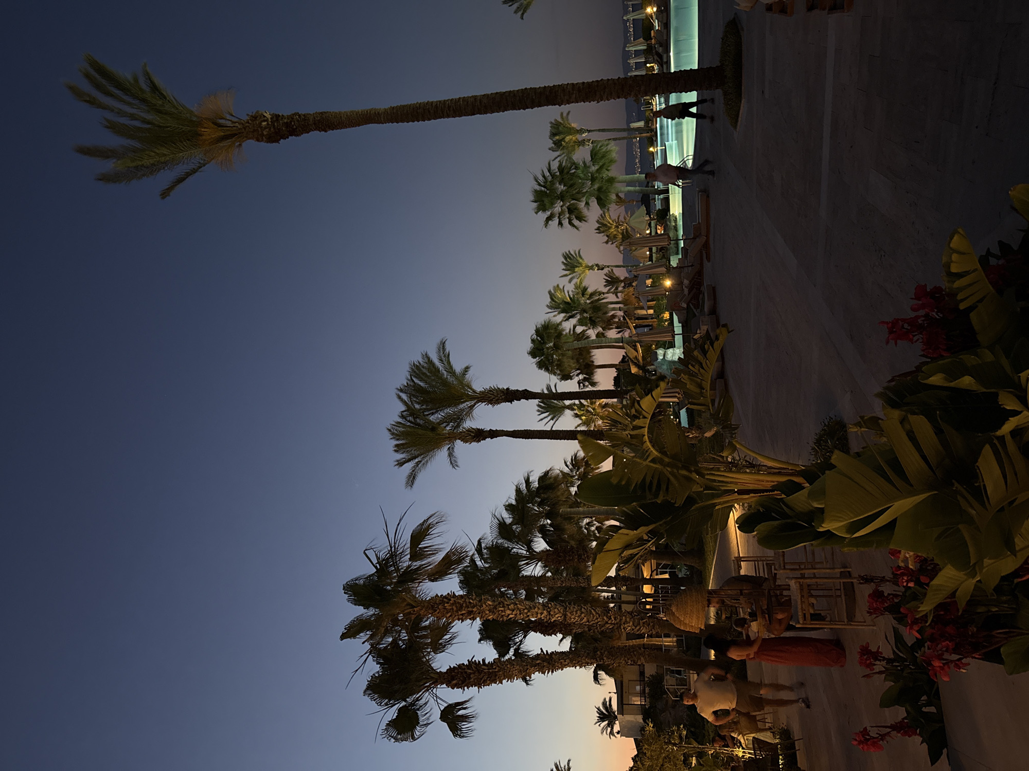 The photograph shows a dusk or evening scene in Kos, Greece, featuring palm trees, a swimming pool, and a hotel or resort setting. Several palm trees are visible against a gradient sky, transitioning from a deep blue at the top to a lighter hue near the horizon. The palm trees frame a well-lit swimming pool area where a few people are present. The architecture suggests a resort, with seating areas and landscaping, the setting seems peaceful and scenic. The ground appears to be paved, leading towards the illuminated pool area. The foliage is lush and tropical.