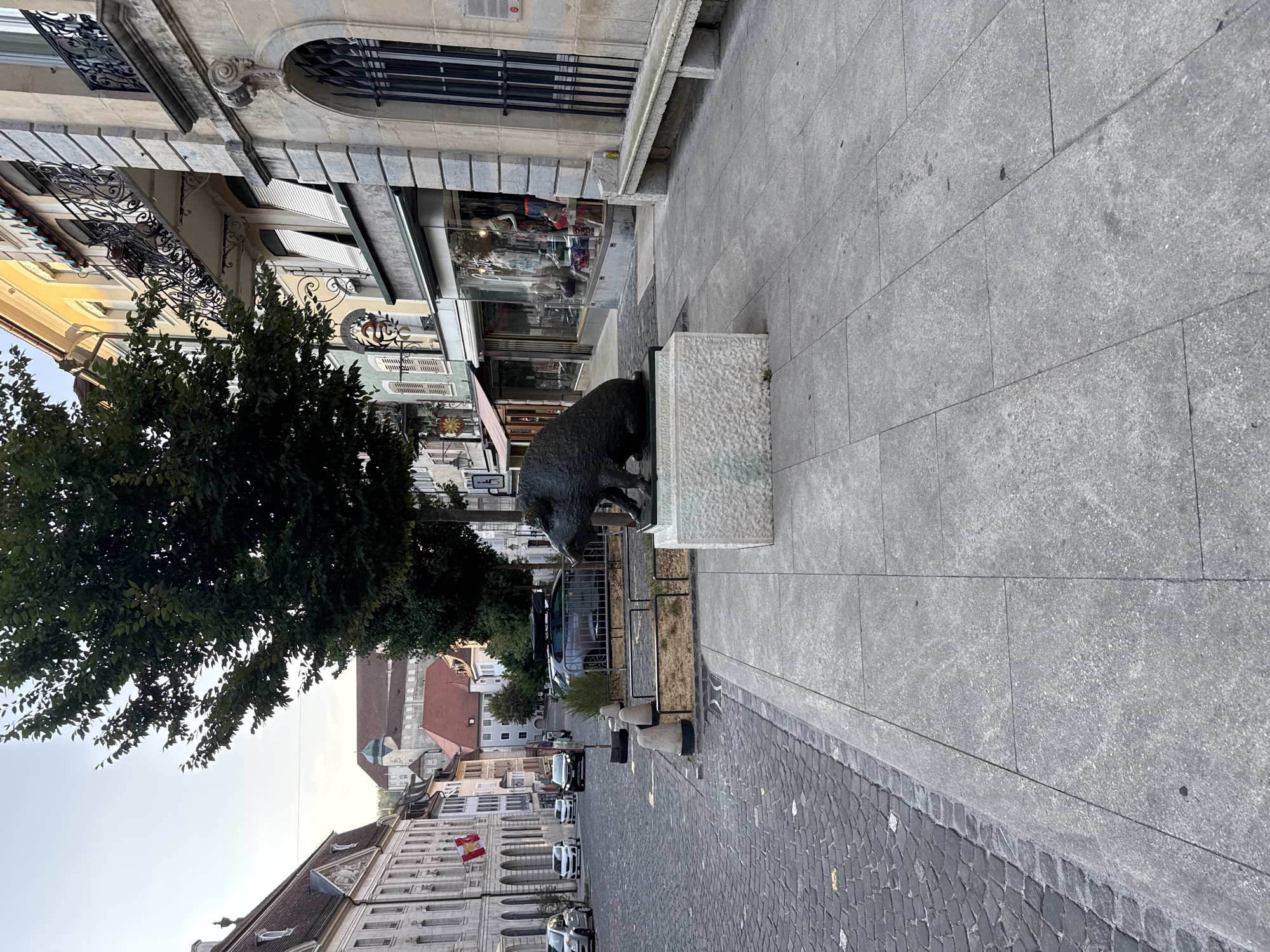 The image depicts a street scene in Porrentruy, Switzerland, likely in the historic town center. In the foreground, a stone sidewalk is laid with large, rectangular gray tiles. To the left of the sidewalk is a cobblestone street. A dark bronze sculpture of a wild boar stands on a light-colored stone pedestal on the sidewalk, facing to the right. Behind the sculpture, a metal railing encloses a small patch of dry grass and a few plants.
The street itself is lined with buildings. The building on the right has a light yellow facade with stone accents around windows and doorways. It features several windows with dark metal grilles and a balcony with ornate wrought-iron railings. A long, stone bench runs along the base of this building. A shop window displaying mannequins and clothing is visible.
On the left side of the street, a row of buildings with classical architecture can be seen. These buildings have light-colored facades, arched windows on the lower levels, and pitched roofs. A Swiss flag is displayed on one of these buildings. Cars are parked and driving on the cobblestone street. Further down the street, more buildings and a church tower are visible. The sky is clear and appears to be either early morning or late evening. The overall atmosphere suggests a quiet, historic European town.