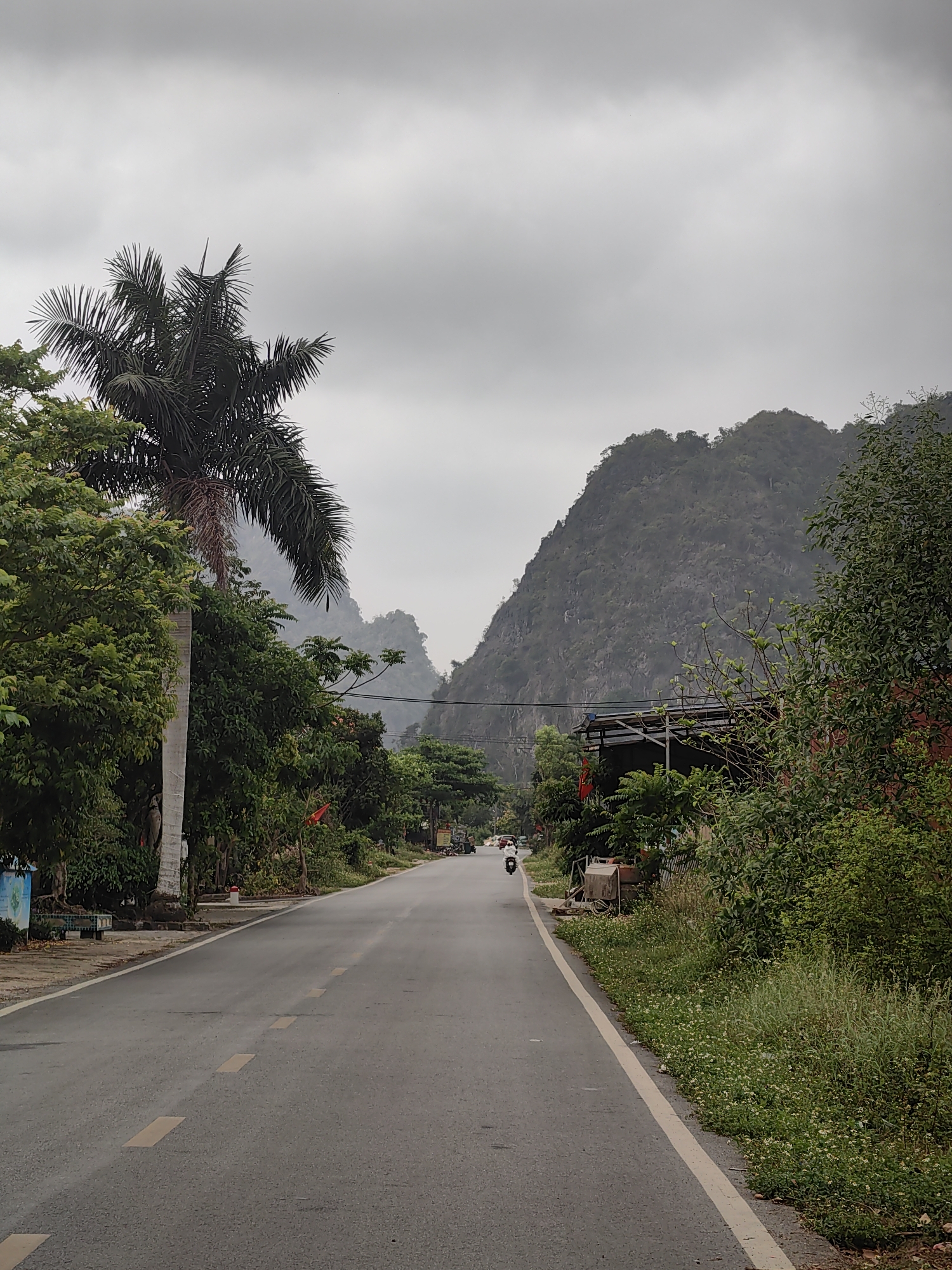The image depicts a straight, paved road in a rural area. The road surface is dark gray with intermittent yellow dashed lines. On either side of the road are lush green trees and vegetation. A tall palm tree is visible on the left side. In the distance, mountains rise under a gray, overcast sky. A single motorbike is visible in the middle distance on the road. The location is consistent with a rural area in the city of Hải Phòng, Vietnam, based on the landscape and vegetation.