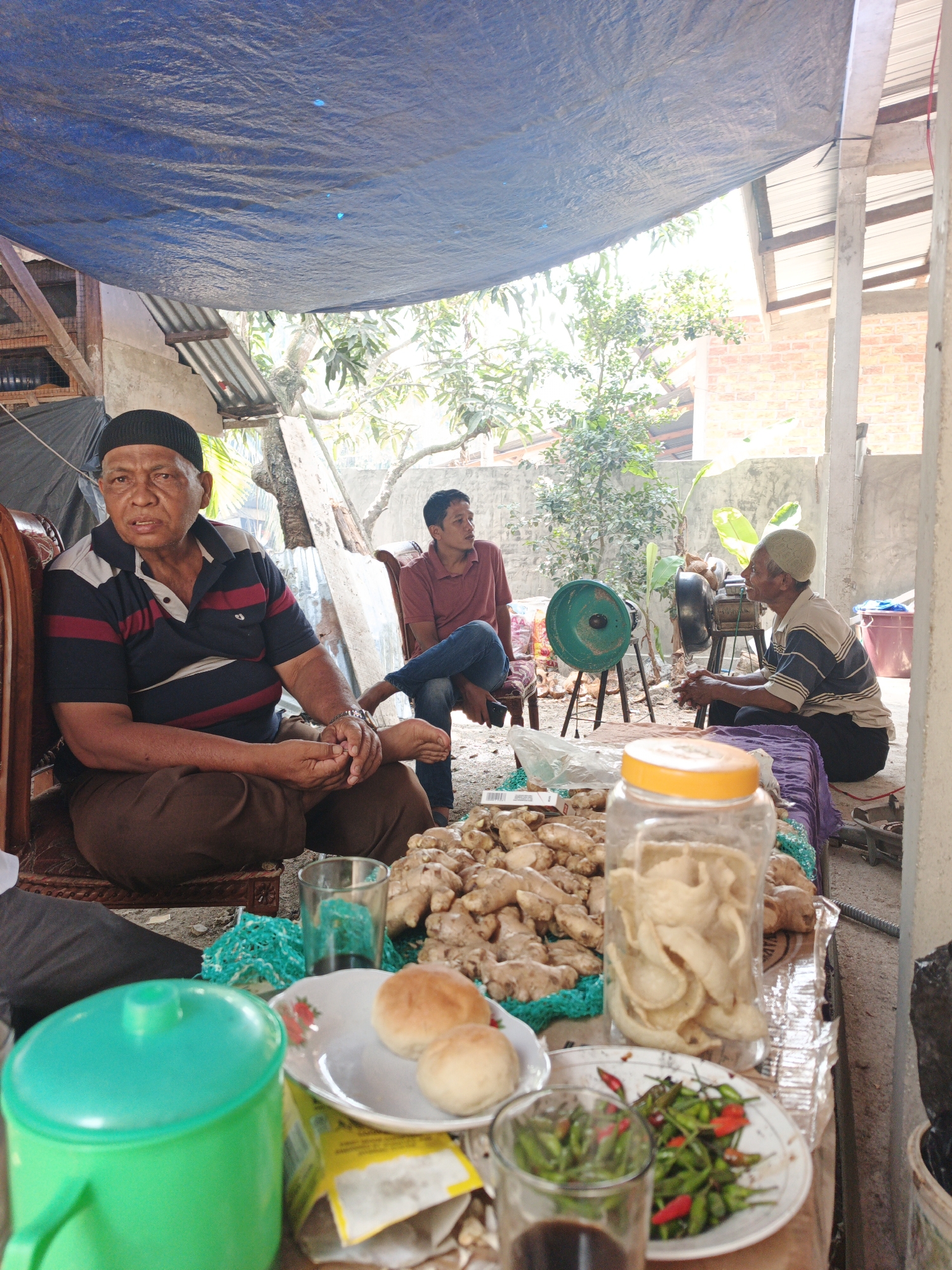 In Pematang Duku, Indonesia, three men are gathered outdoors under a blue tarp. In the foreground, an elderly man with a black cap sits on a wooden chair, wearing a striped polo shirt and brown pants, his hands clasped in his lap. To his right, a table displays several items, including a green plastic jug, a plate with two buns, a glass of dark liquid, a jar filled with light-colored crackers, and a plate of small red and green chilies. Behind the table, a large pile of ginger roots is visible, arranged on a green mesh.
Further back, a younger man in a red shirt and blue jeans sits on another wooden chair, facing left. To his right, an older man wearing a light-colored cap and a striped shirt sits on the ground, his hands also clasped. Between the two seated men, a green, tripod-mounted mechanical device, possibly a grinder or fan, is present. The background reveals a partially constructed building with brick walls and corrugated metal roofing, interspersed with trees and vegetation, suggesting a rural or semi-rural setting. The overall scene appears to be a casual gathering, possibly related to the sale or processing of agricultural products like ginger.