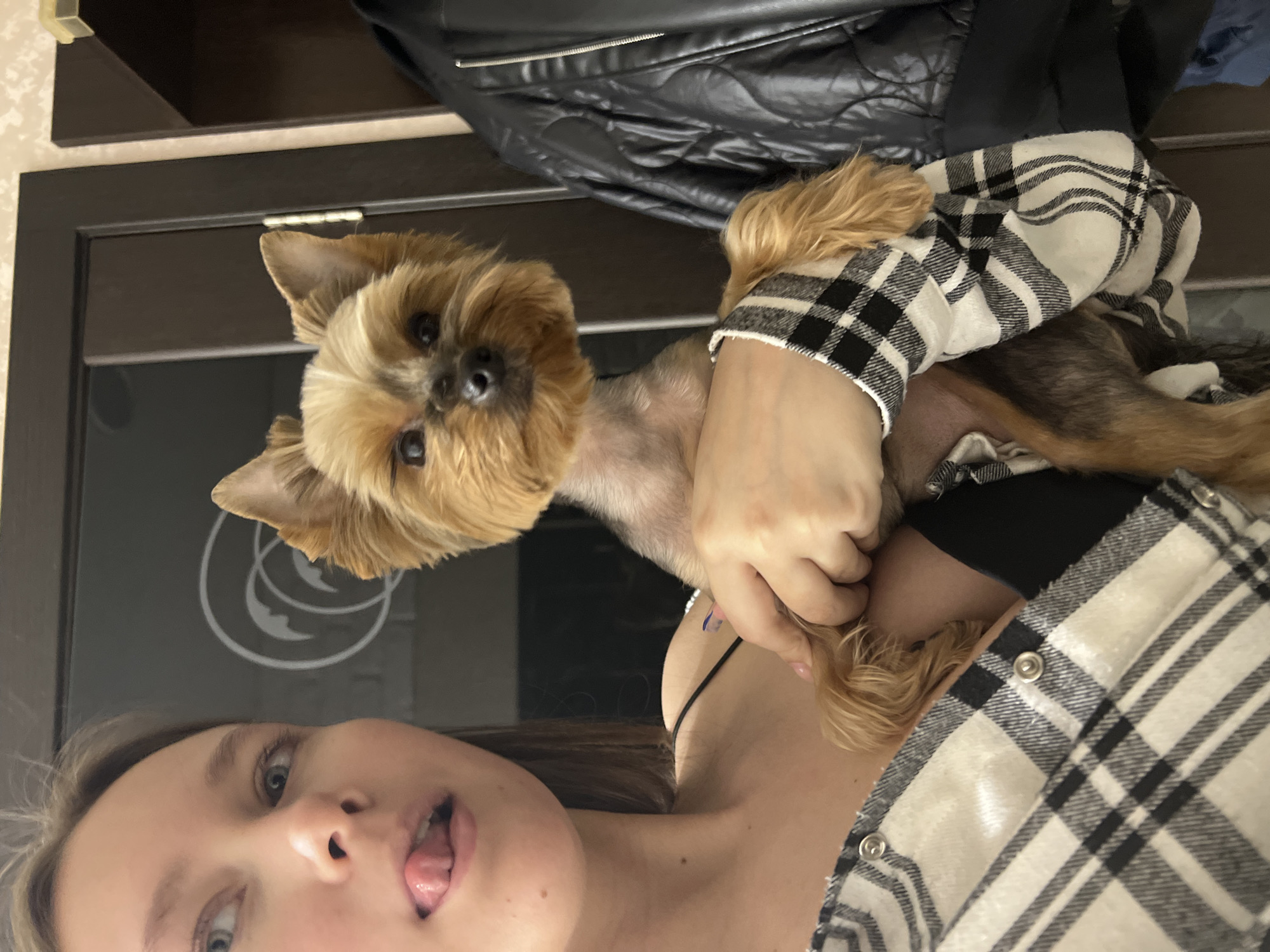 This sideways portrait captures a young woman and a small dog indoors in Chaikovsky, Russia. The woman, positioned in the lower left, has light hair and is seen from the chest up. She looks upward and to her left with a playful expression, her tongue slightly extended. She wears a black and white plaid shirt over a black strap top. Her arm is wrapped around a small dog, likely a Yorkshire Terrier, which is held close to her upper body. The dog, with distinctive tan and dark brown fur, looks directly forward with an alert gaze. The background features dark wooden furniture, possibly a wardrobe or cabinet, against which a black leather jacket is draped. A white circular logo or design is faintly visible on the dark surface behind the woman's head. The indoor setting suggests artificial lighting. No visible text is present in the image.