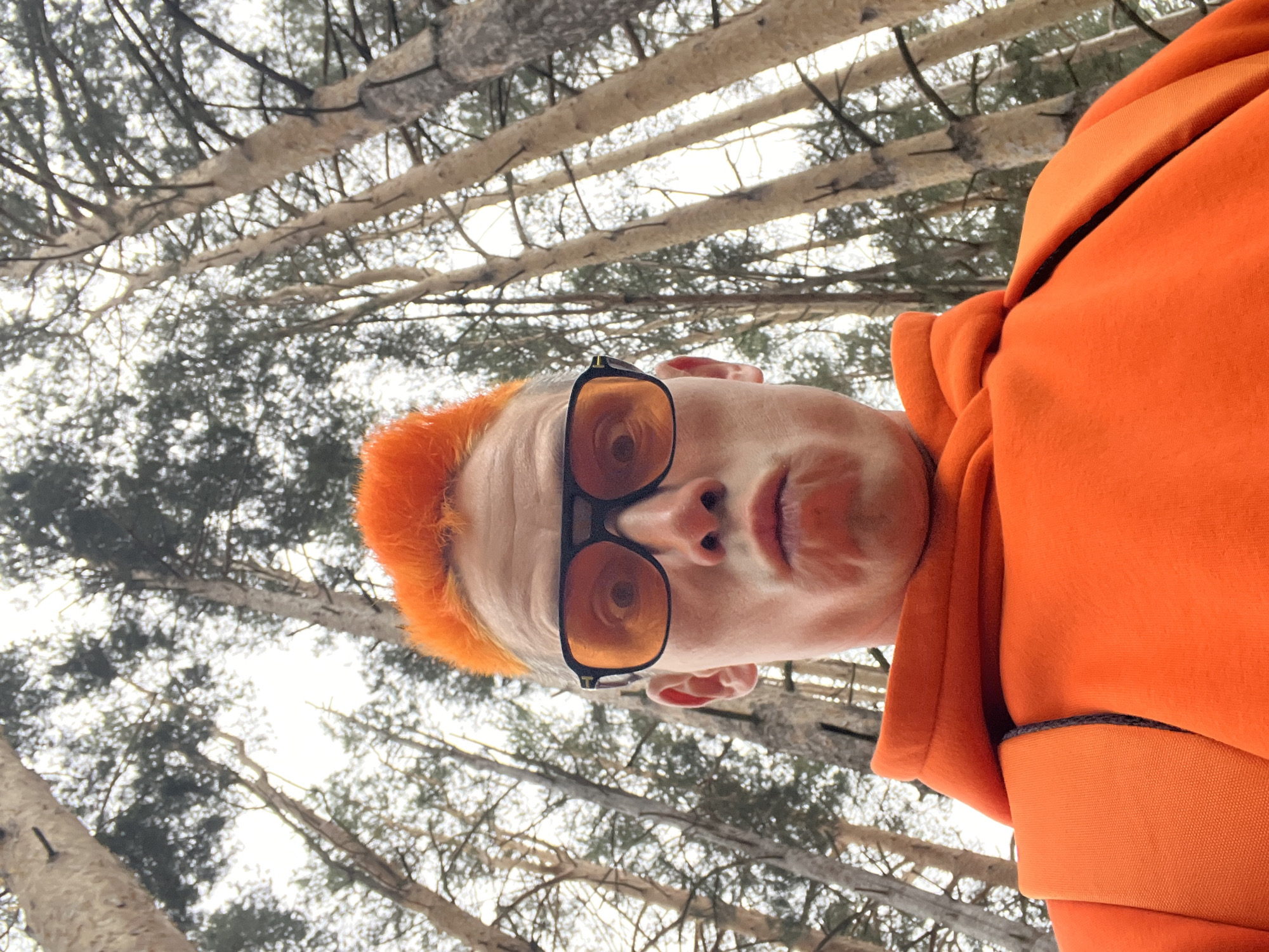 A low-angle portrait depicts a fair-skinned individual wearing an orange hooded sweatshirt, black framed sunglasses with orange tinted lenses, and sporting vibrant orange hair. The person's face is positioned close to the camera, with their head tilted. The background consists of tall, bare trees with whitish bark, their branches extending upwards and intermingling to create a dense canopy partially obscuring the sky. The scene appears to be an outdoor wooded area. The location is Chaikovsky, Russia.
