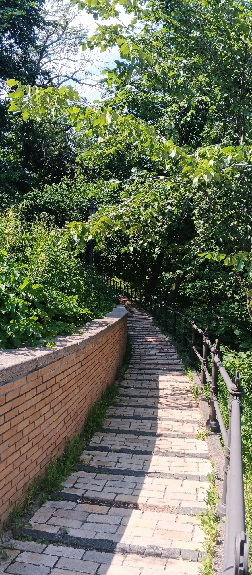 This is a vertical, eye-level shot of a paved stone staircase winding down amidst lush greenery, likely in Kyiv, Ukraine. The staircase is flanked on the left by a curving, light brick retaining wall topped with a grey stone cap. Abundant green foliage spills over the wall, creating a natural, overgrown feel. To the right of the stairs, a dark metal railing with decorative elements provides a boundary and adds a touch of elegance. The steps themselves are a mix of light-colored paving stones and darker grey stones, creating a striped pattern that is partially illuminated by dappled sunlight.
The scene suggests a park or a garden setting, perhaps a pathway leading through a hilly area. The dense foliage indicates it is likely late spring or summer, and the clear sunlight suggests it is daytime, possibly mid-morning or early afternoon given the angle of the shadows. The overall mood is peaceful and serene, inviting exploration. There is a lamppost visible amidst the trees on the left, hinting at the pathway being illuminated at night as well. No people are visible, nor is there any discernible text within the image. The abundant vegetation and the style of the stonework and railing offer subtle clues to the location.