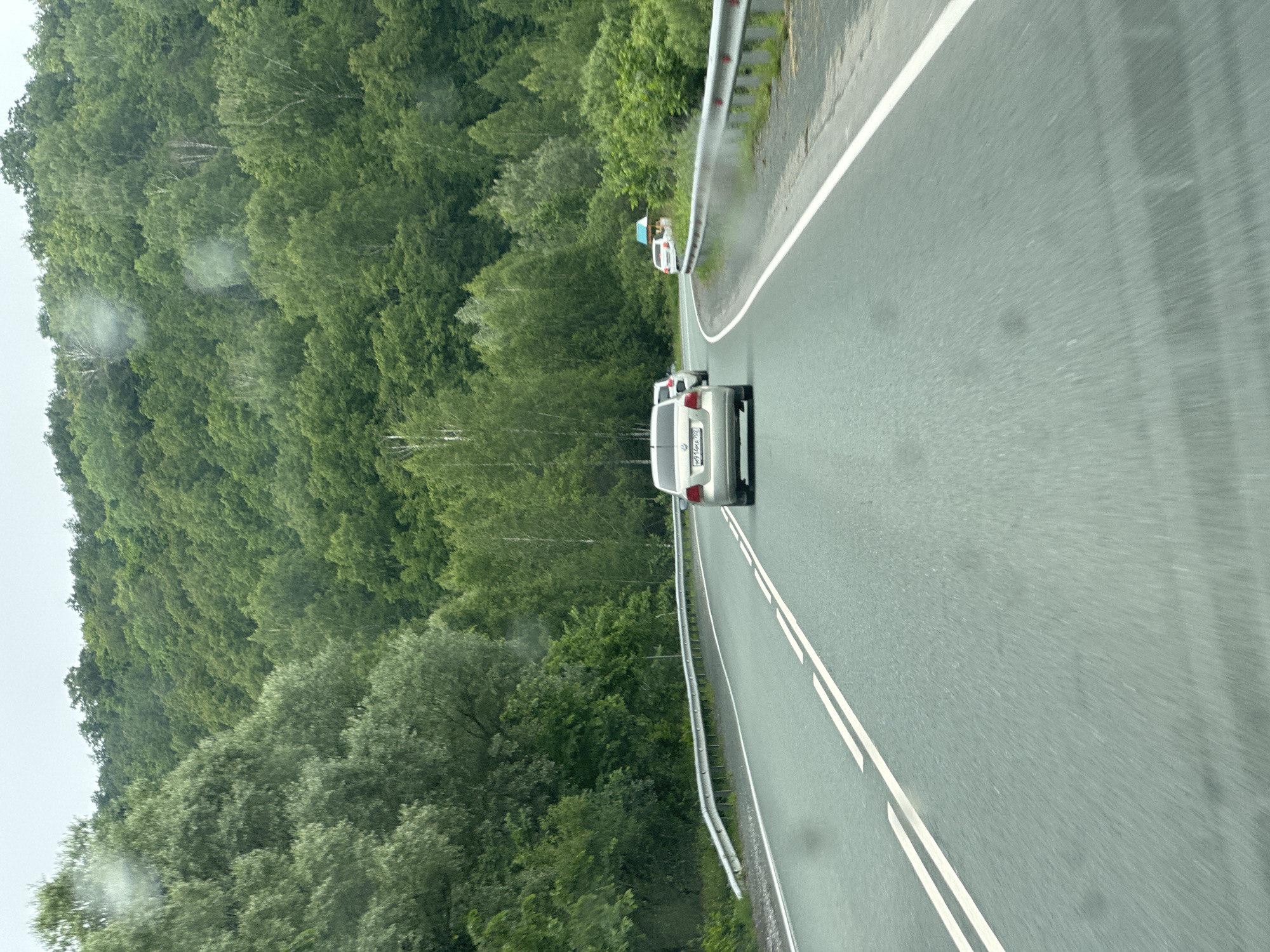 The image depicts a view from a moving vehicle on a two-lane asphalt road in Usakly, Russia. The road is bordered by a metal guardrail on the right and a dense, green forest on the left and in the background. The forest appears to be comprised of deciduous trees, with varying shades of green foliage. The sky is overcast, with a light gray hue.
There are several cars on the road. In the foreground, a silver sedan is visible from the rear, with its license plate reading "M914MA 702". Ahead of this car, two other vehicles are also traveling in the same direction. Further up the road, another white car is seen in the distance.
The road itself is in good condition, with clear white lane markings. The overall impression is of a scenic drive through a heavily wooded area.