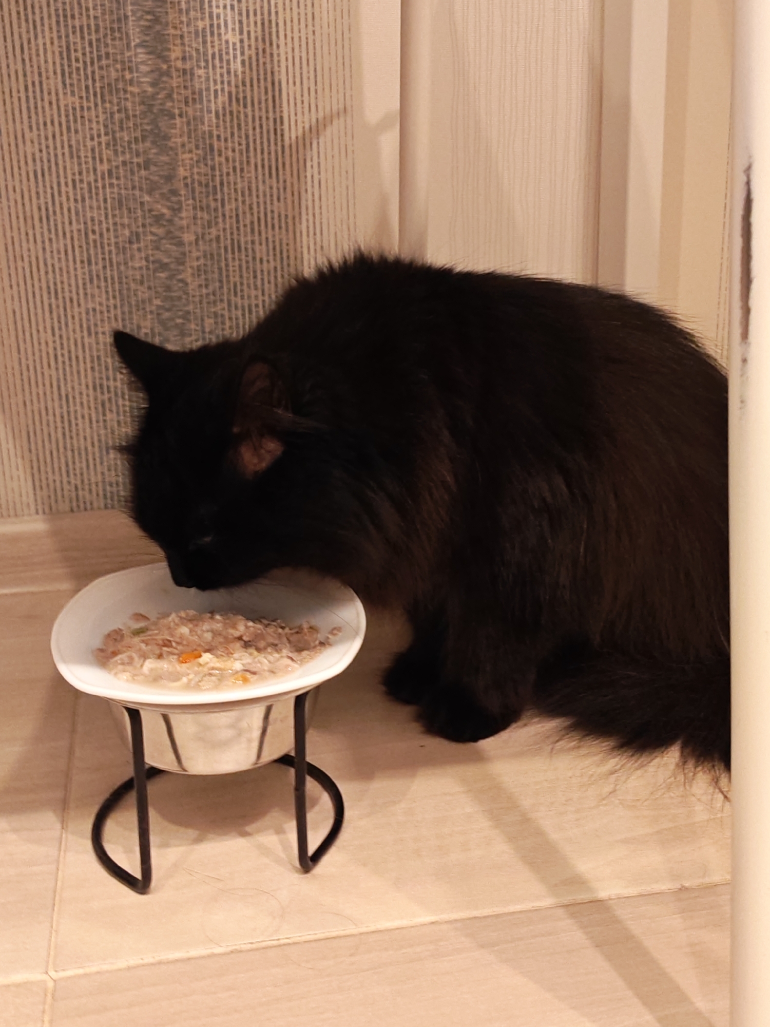 A black cat is eating from a white bowl on a stand. The cat is mostly out of frame, but its head and part of its back are visible. The bowl contains wet cat food. The scene appears to be indoors, with tiled flooring and a wall with vertical blinds in the background. The lighting is dim.
